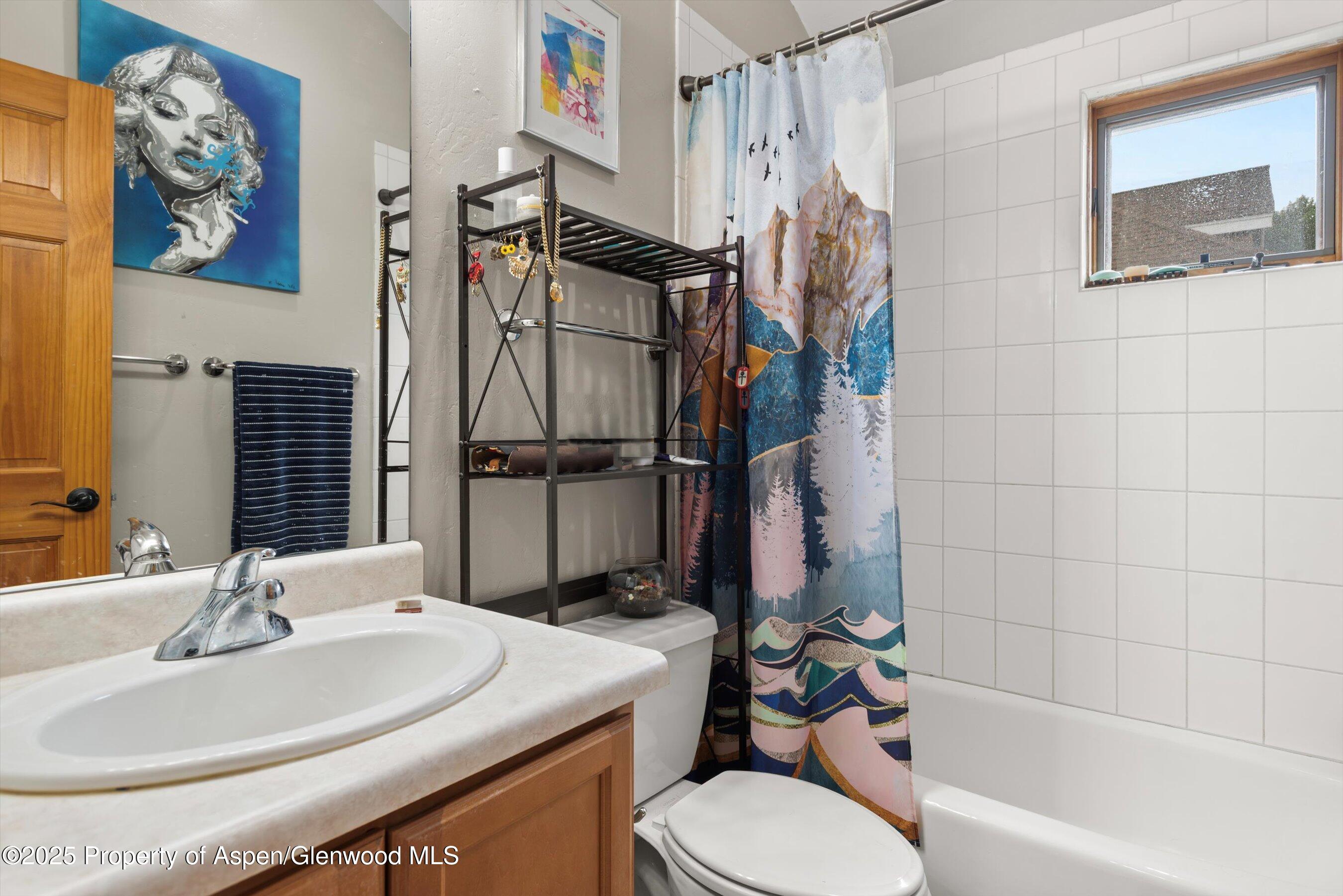 287 Southside Drive Basalt CO 81621