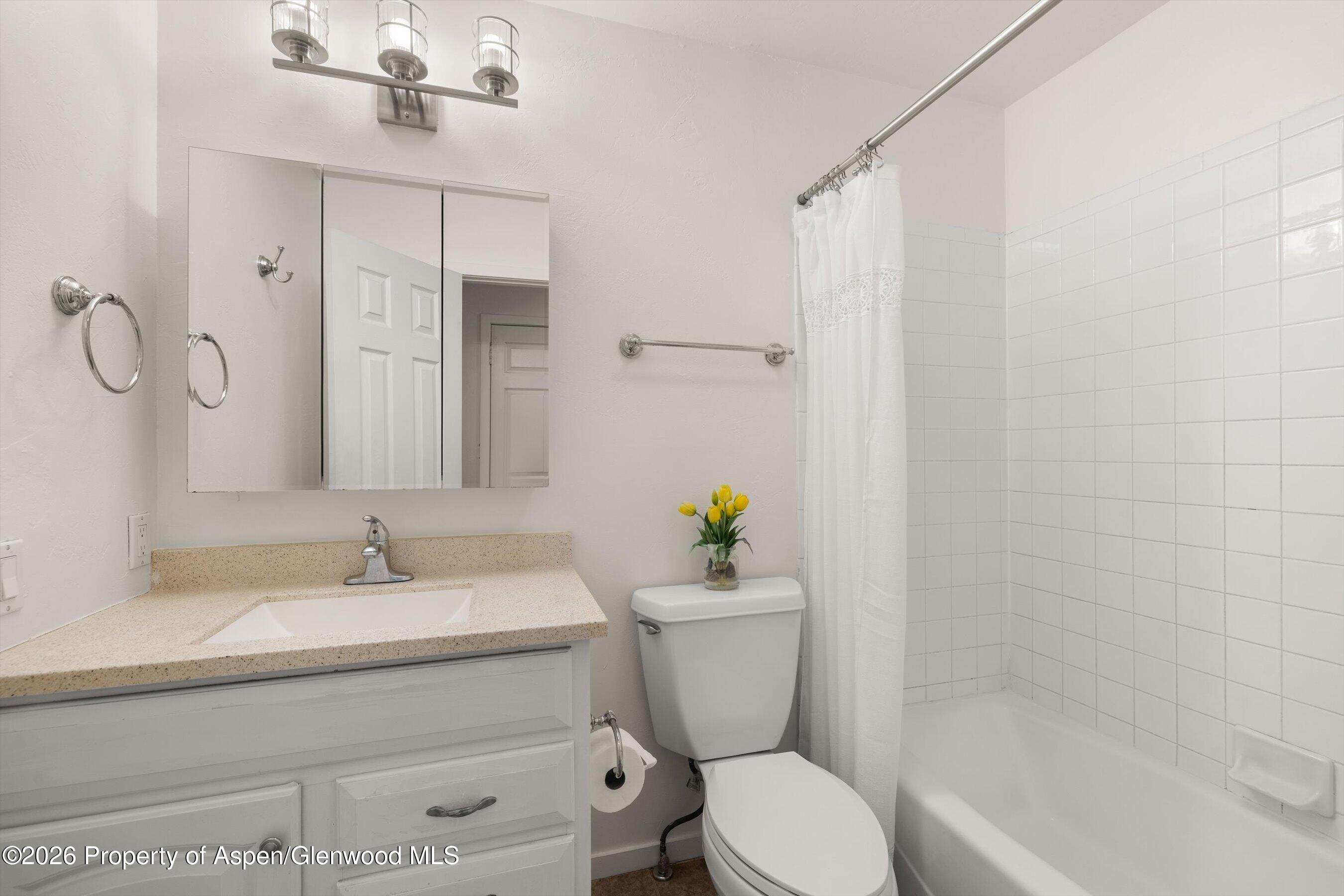 372 S 8th Street Carbondale CO 81623