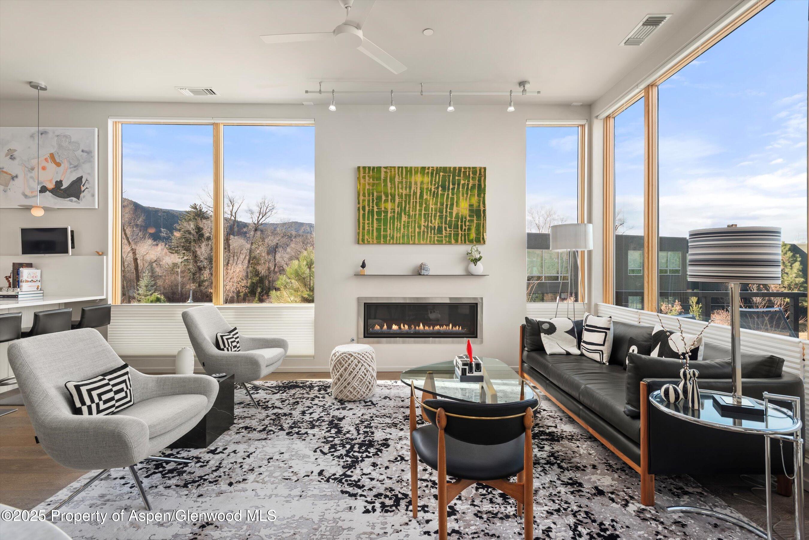 103 Willits Way Basalt CO 81621