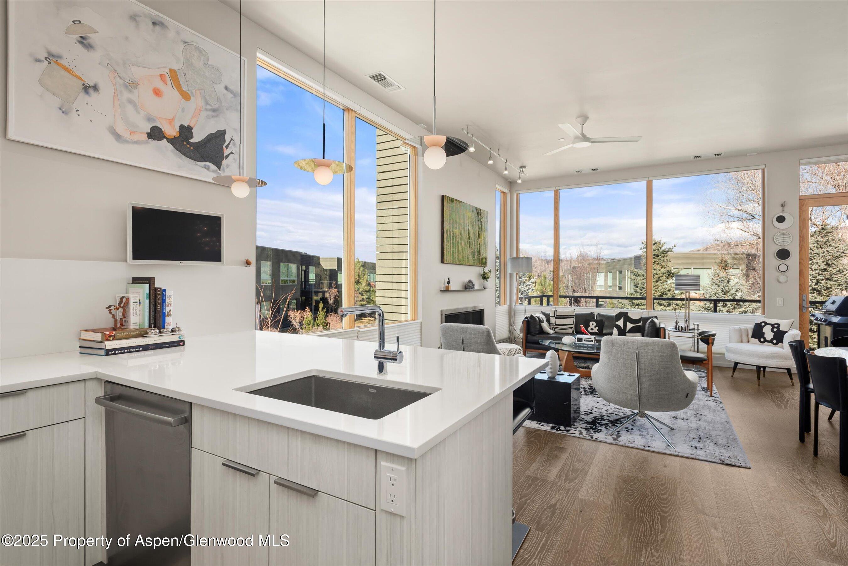 103 Willits Way Basalt CO 81621