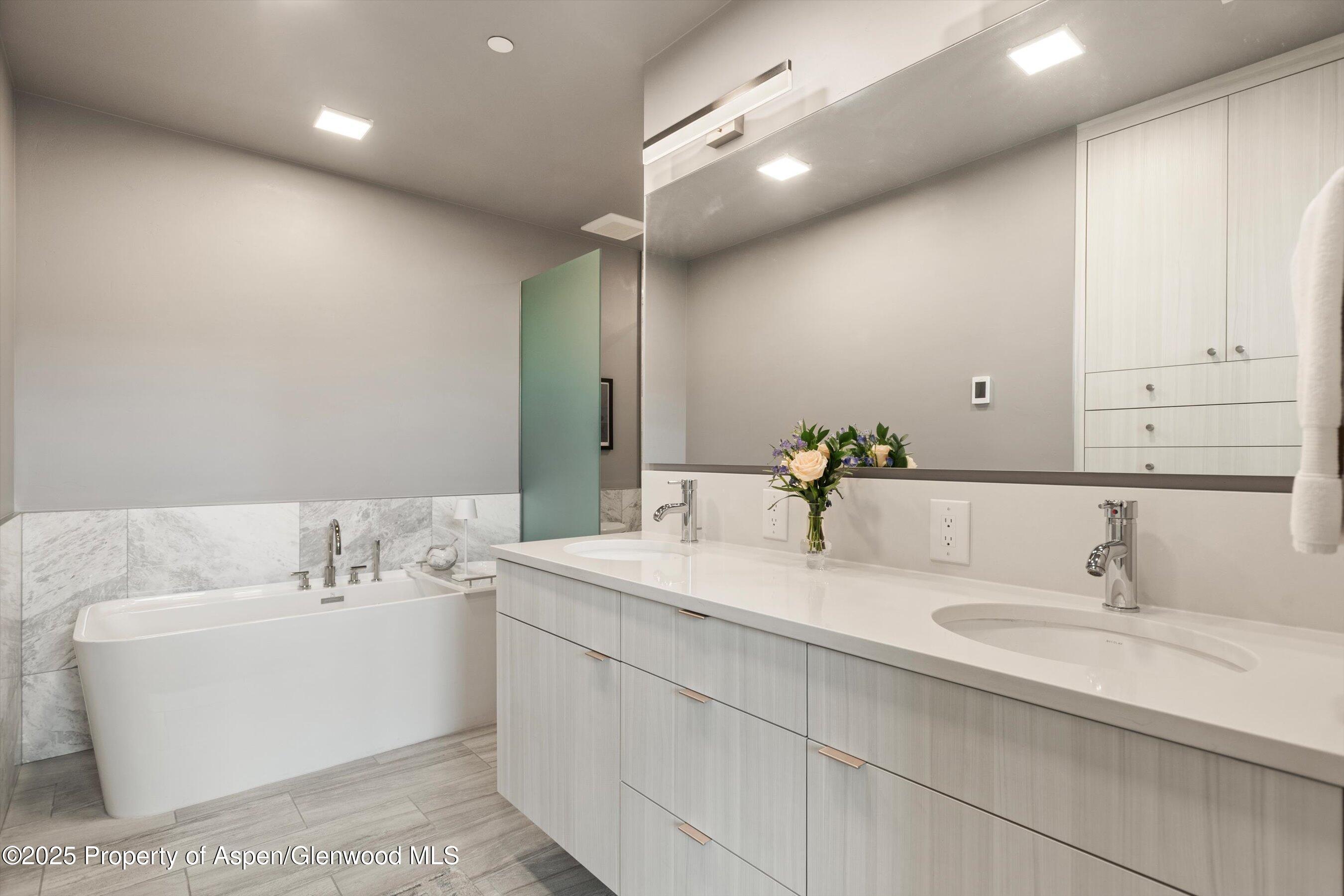 103 Willits Way Basalt CO 81621