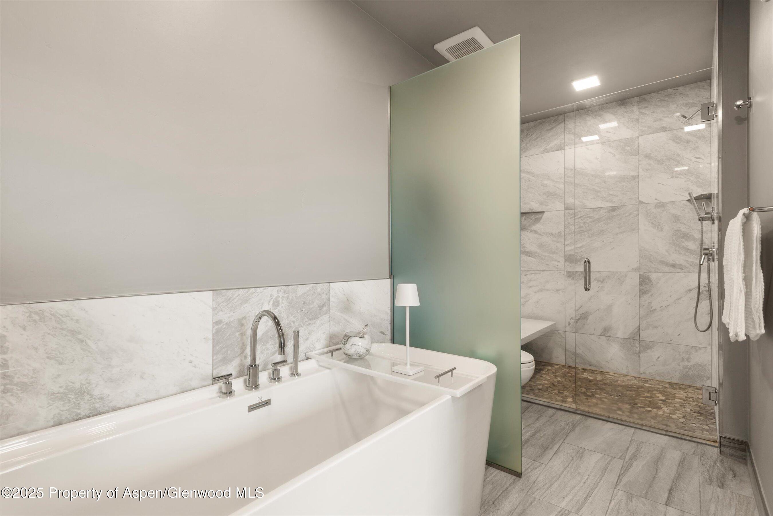 103 Willits Way Basalt CO 81621