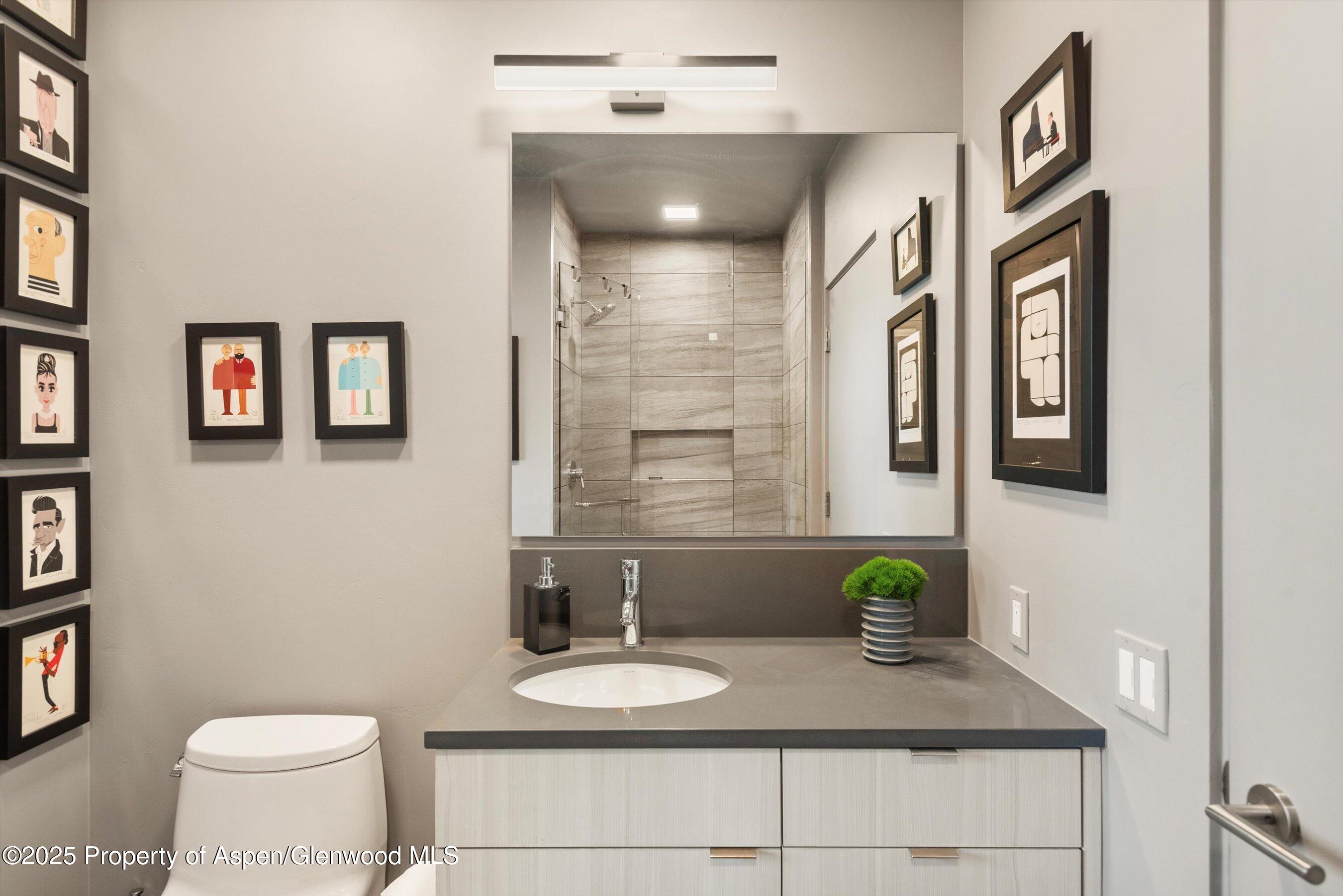 103 Willits Way Basalt CO 81621