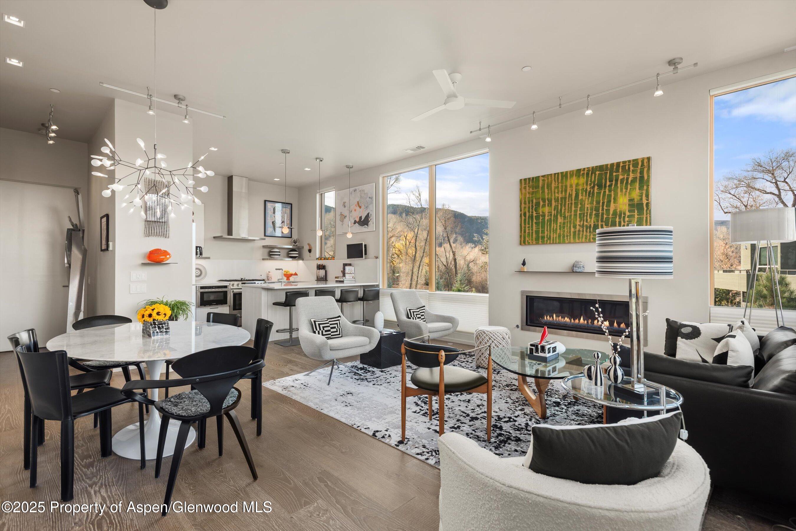 103 Willits Way Basalt CO 81621