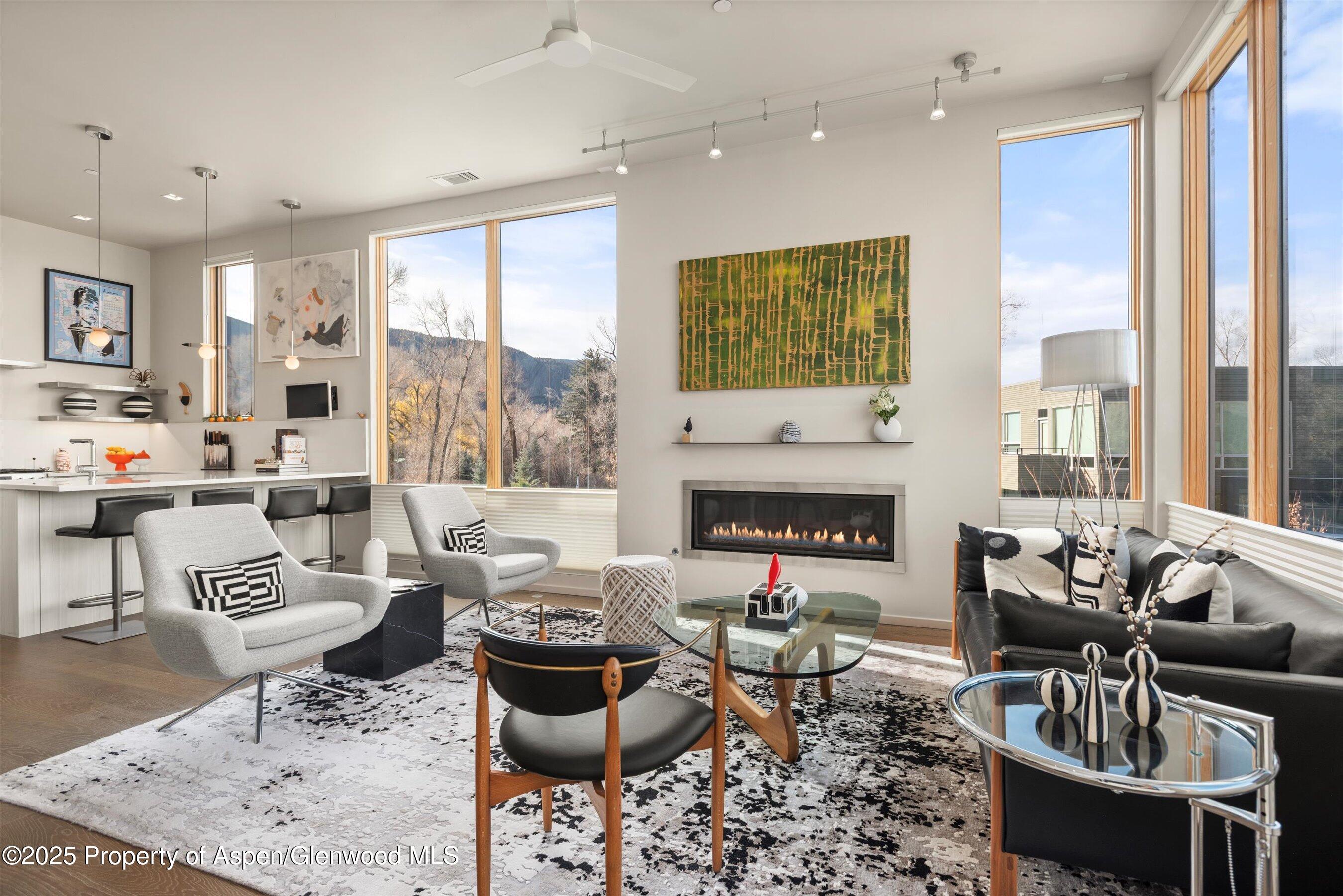 103 Willits Way Basalt CO 81621