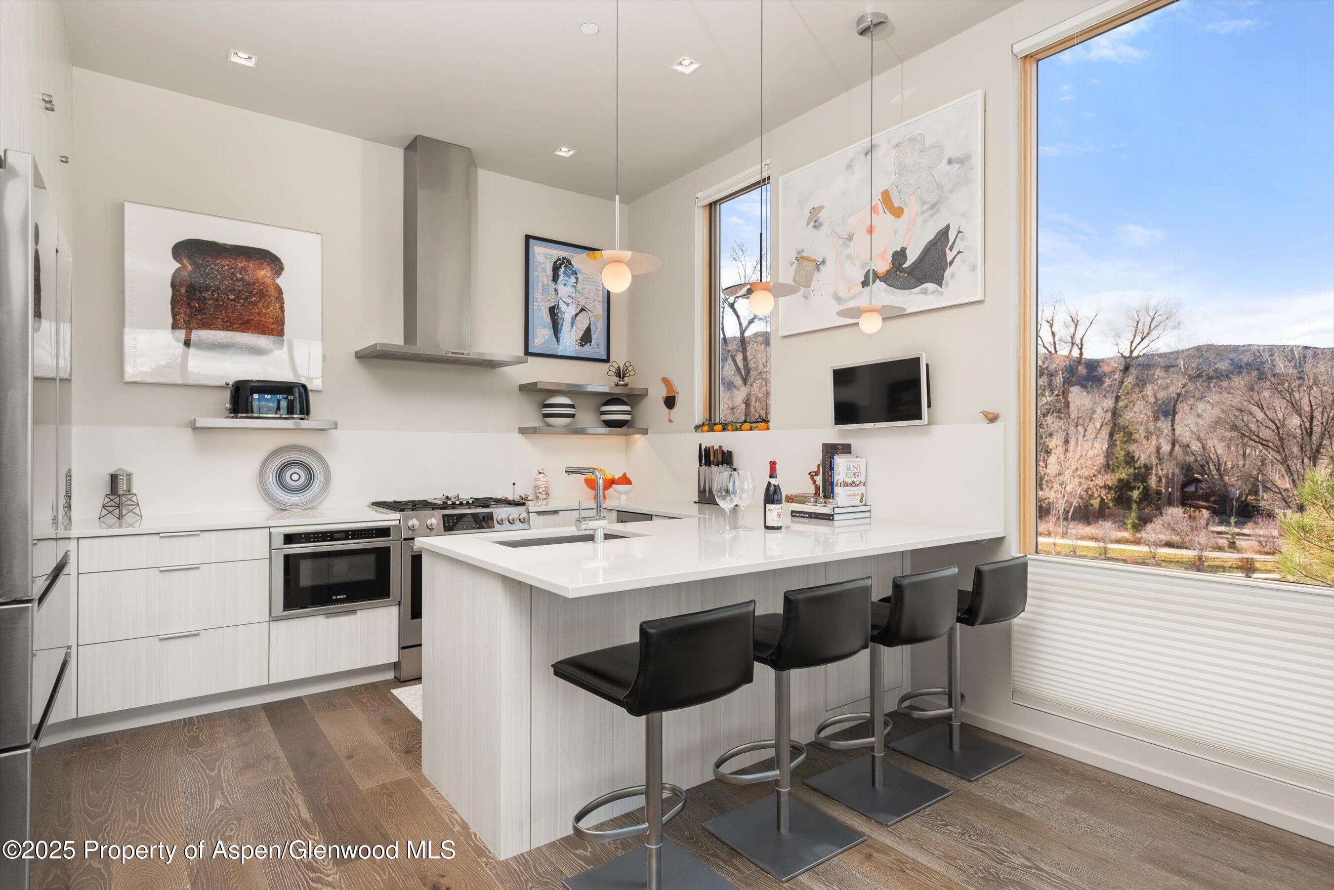 103 Willits Way Basalt CO 81621