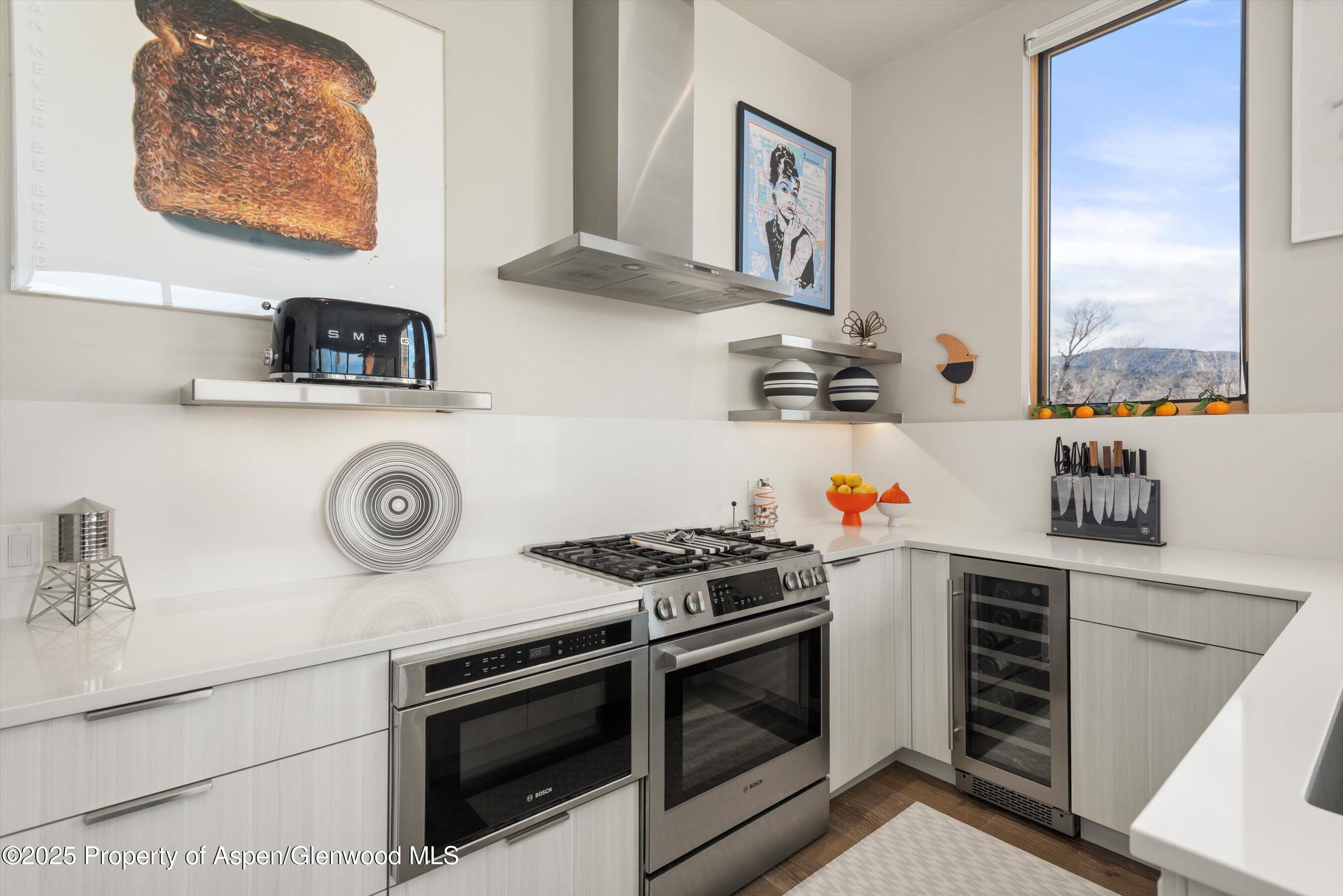 103 Willits Way Basalt CO 81621