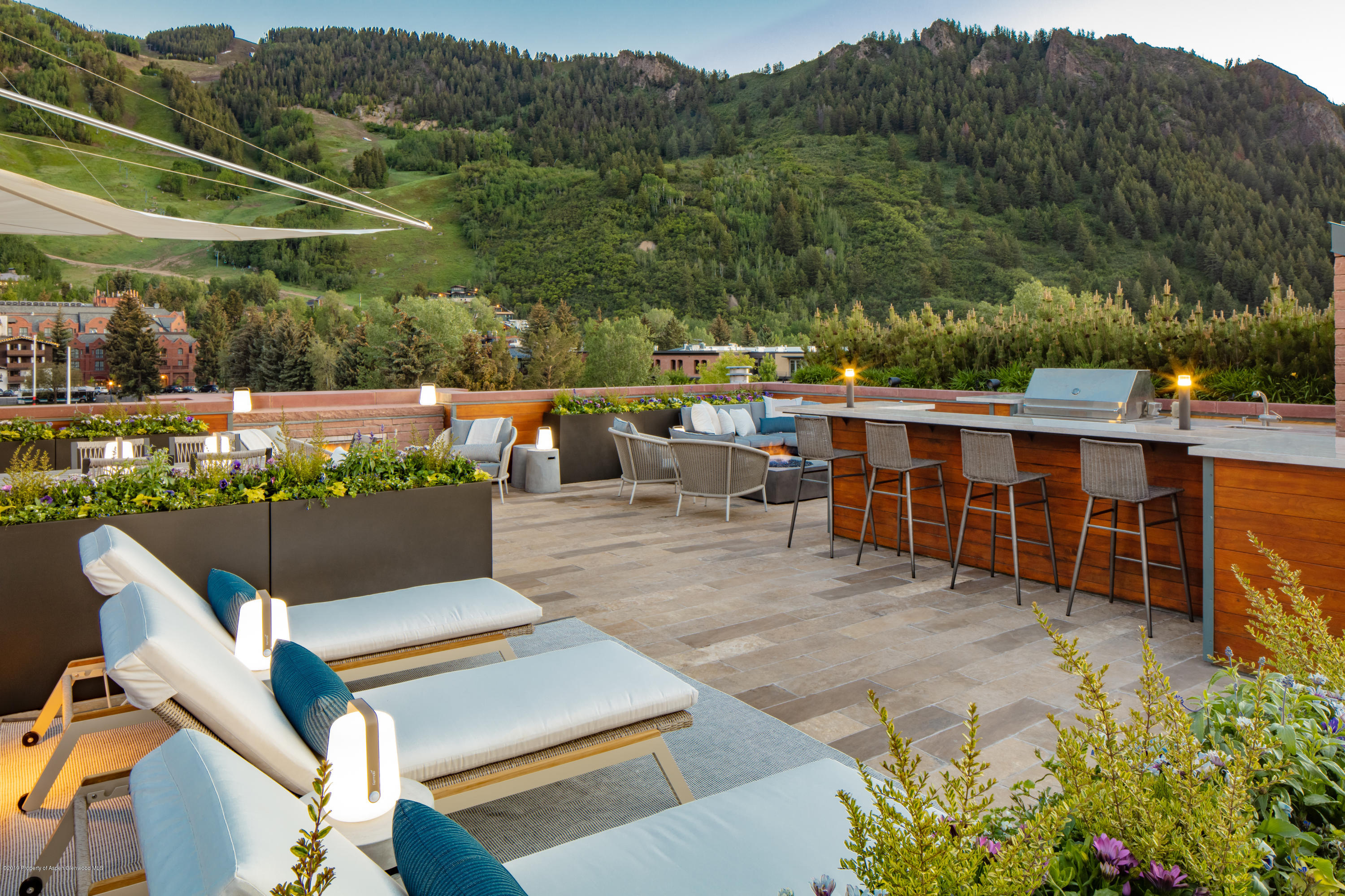 314 E Hyman Avenue Aspen CO 81611