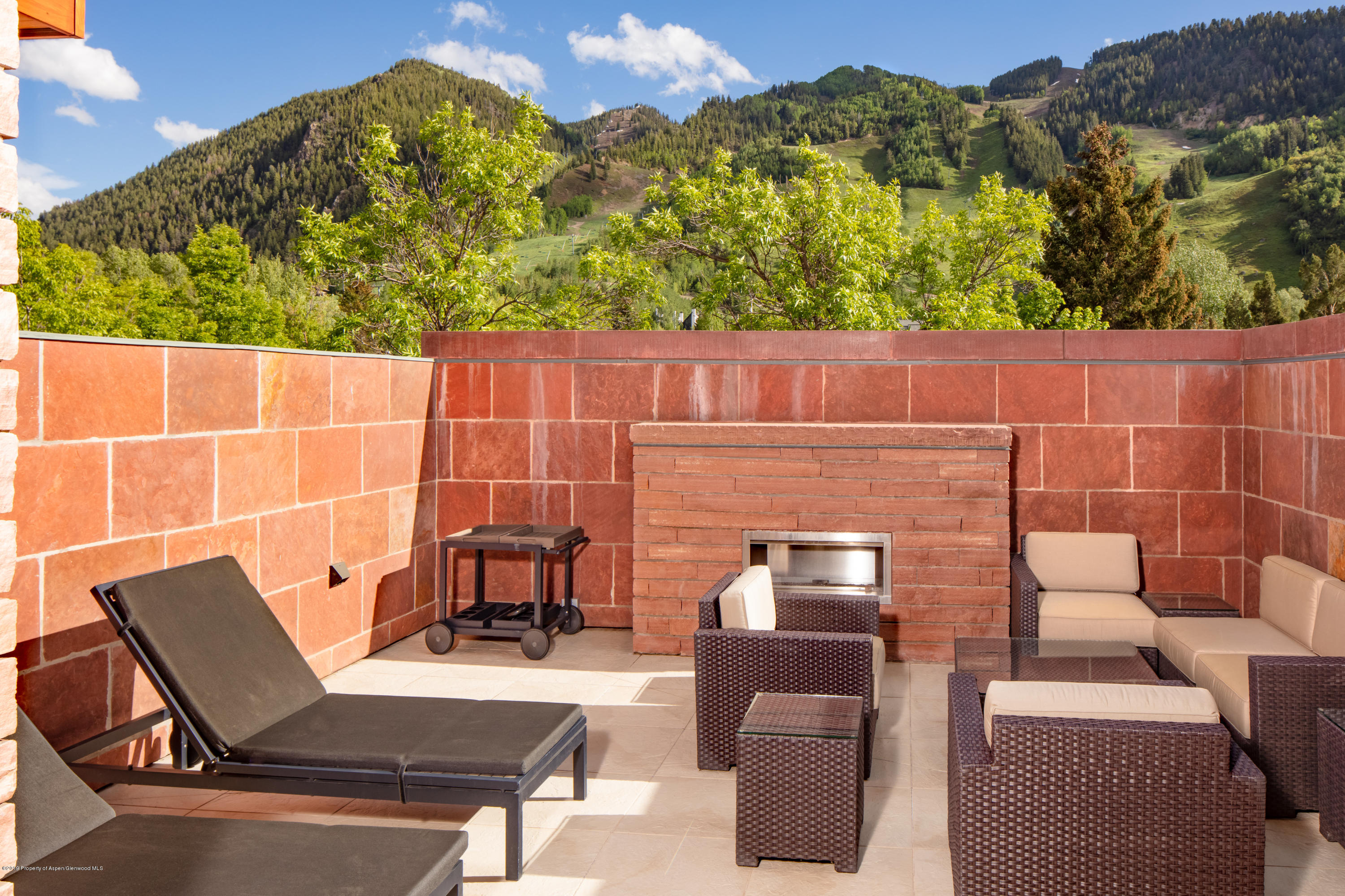 314 E Hyman Avenue Aspen CO 81611