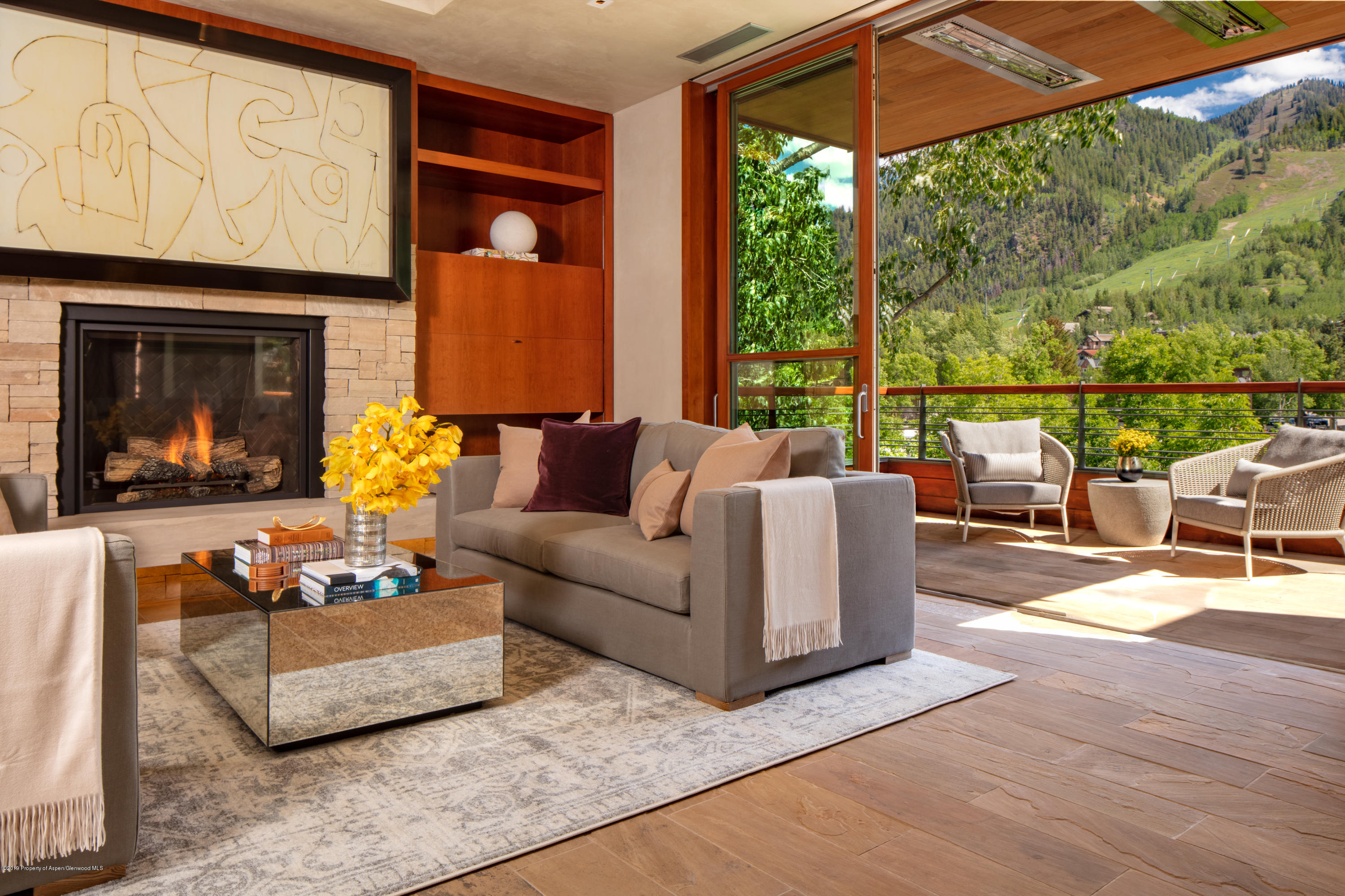 314 E Hyman Avenue Aspen CO 81611