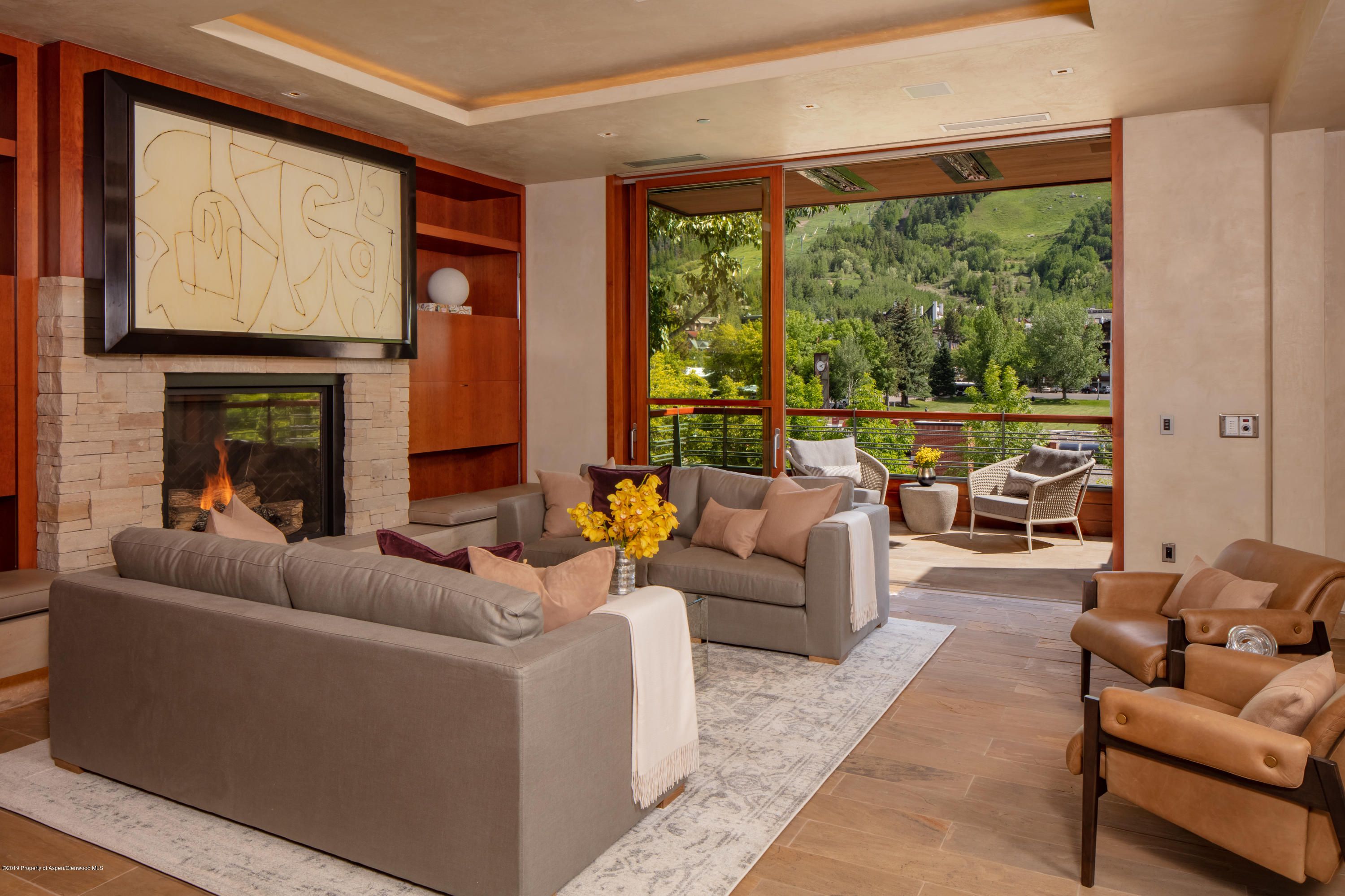 314 E Hyman Avenue Aspen CO 81611