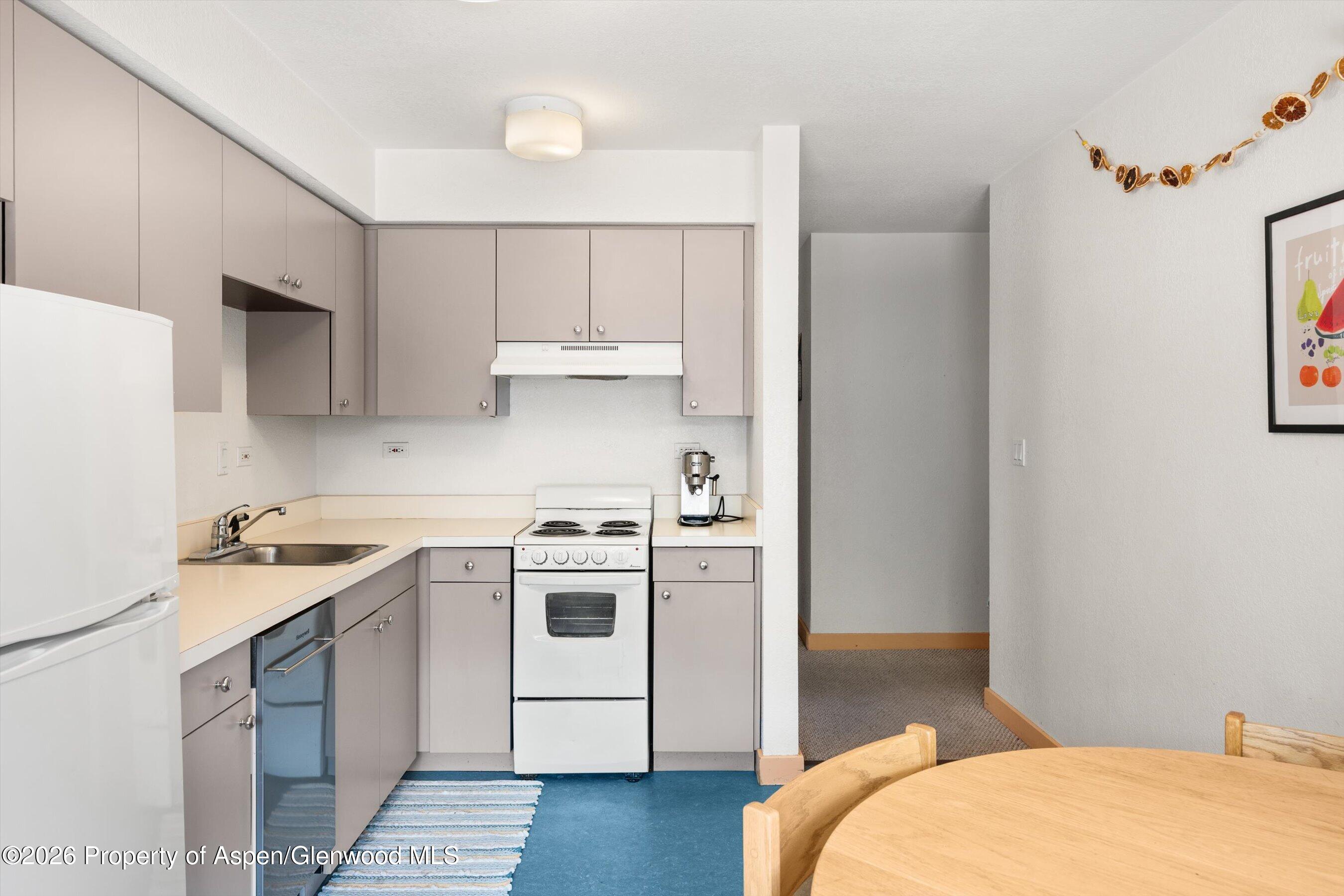 115 Boomerang Road Aspen CO 81611