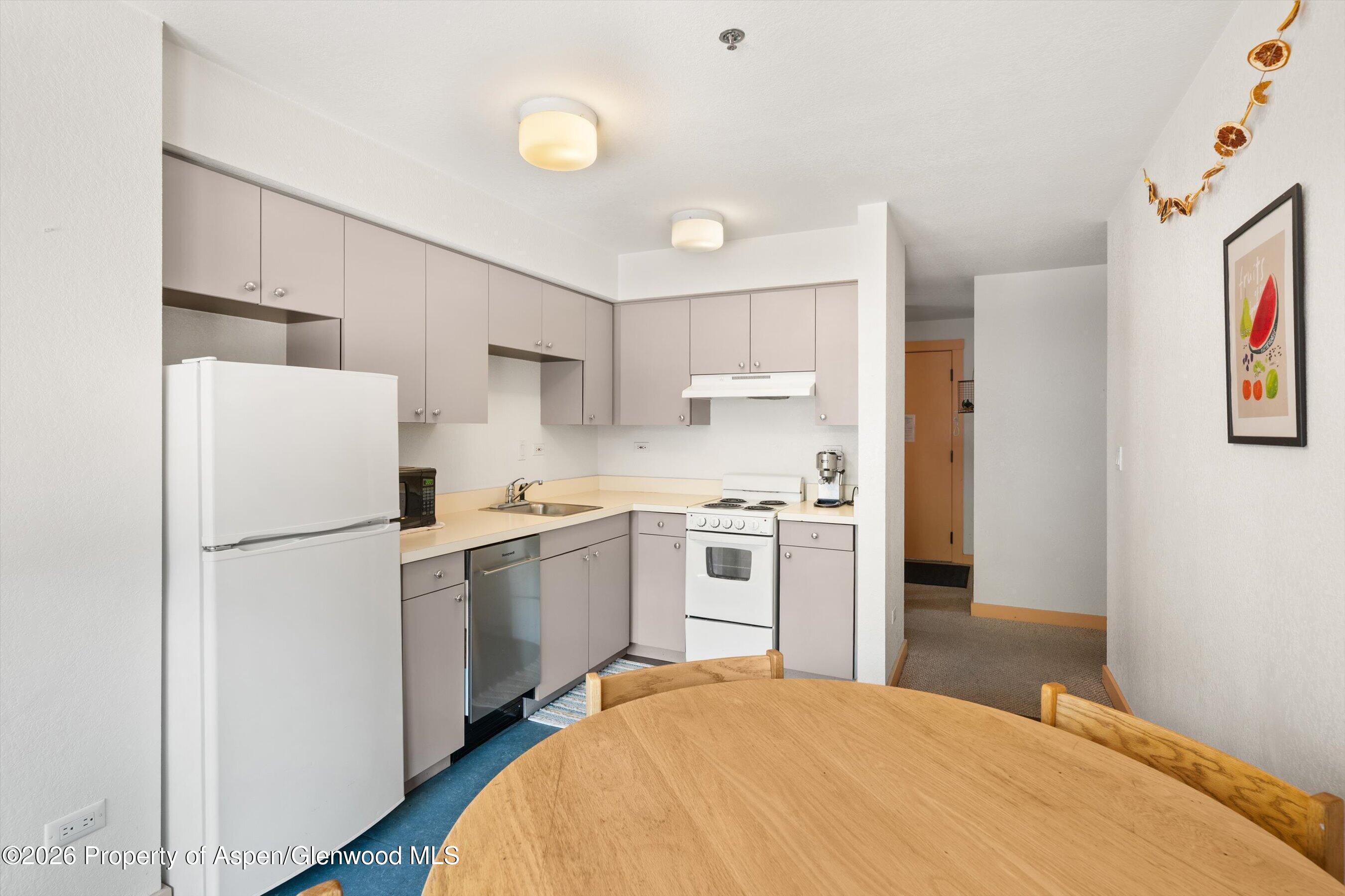 115 Boomerang Road Aspen CO 81611