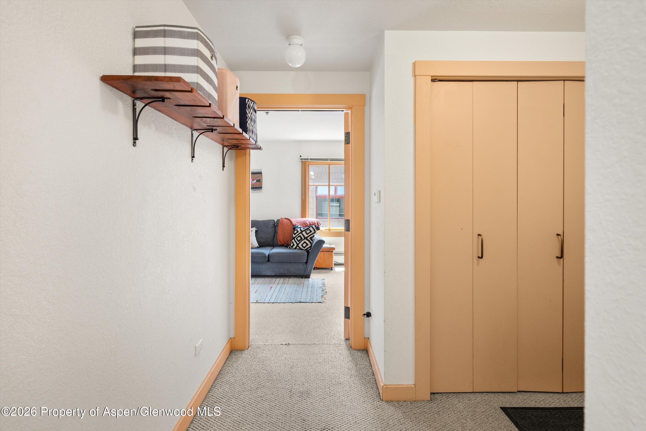 115 Boomerang Road Aspen CO 81611