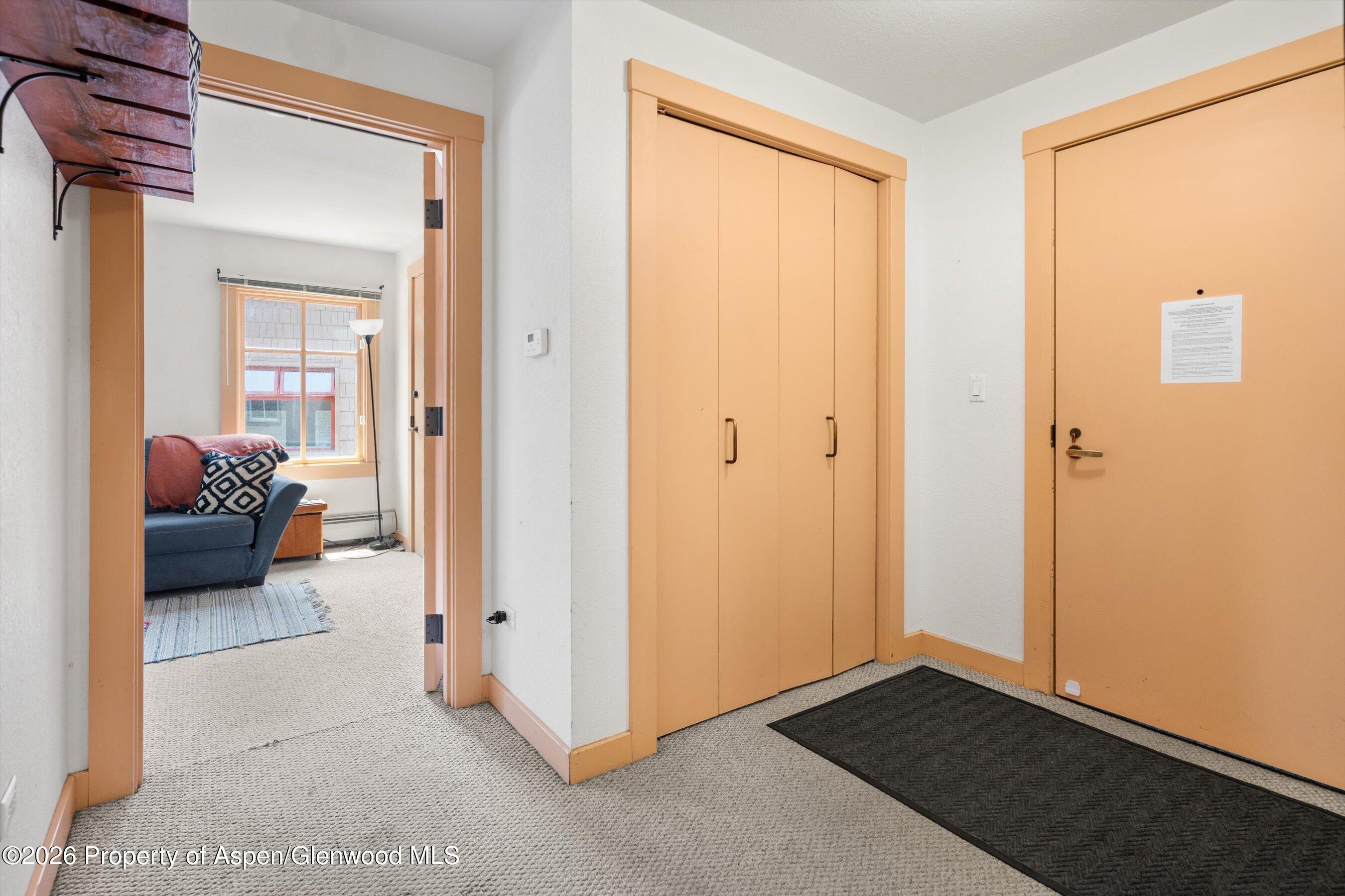 115 Boomerang Road Aspen CO 81611