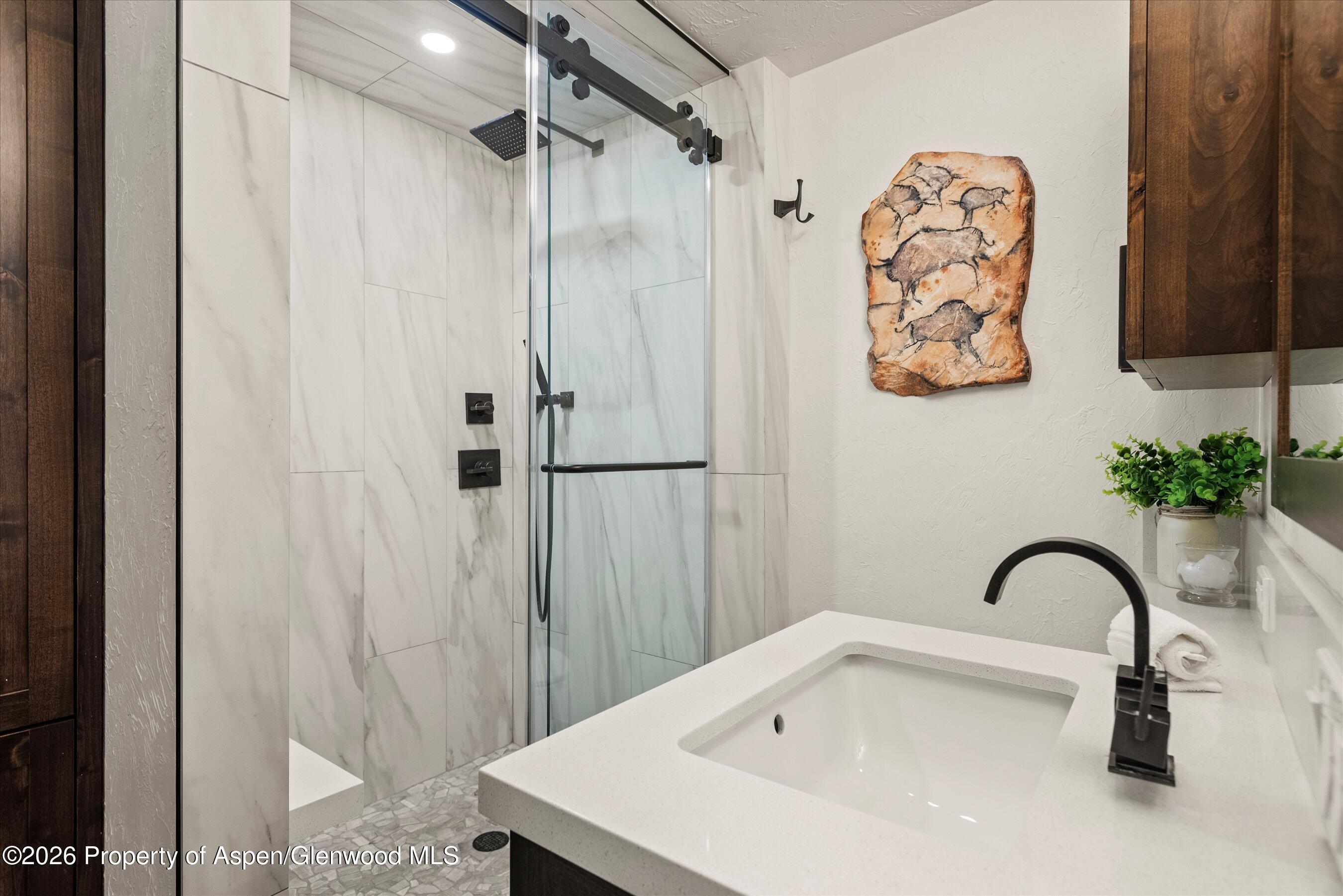 814 W Bleeker Street Aspen CO 81611