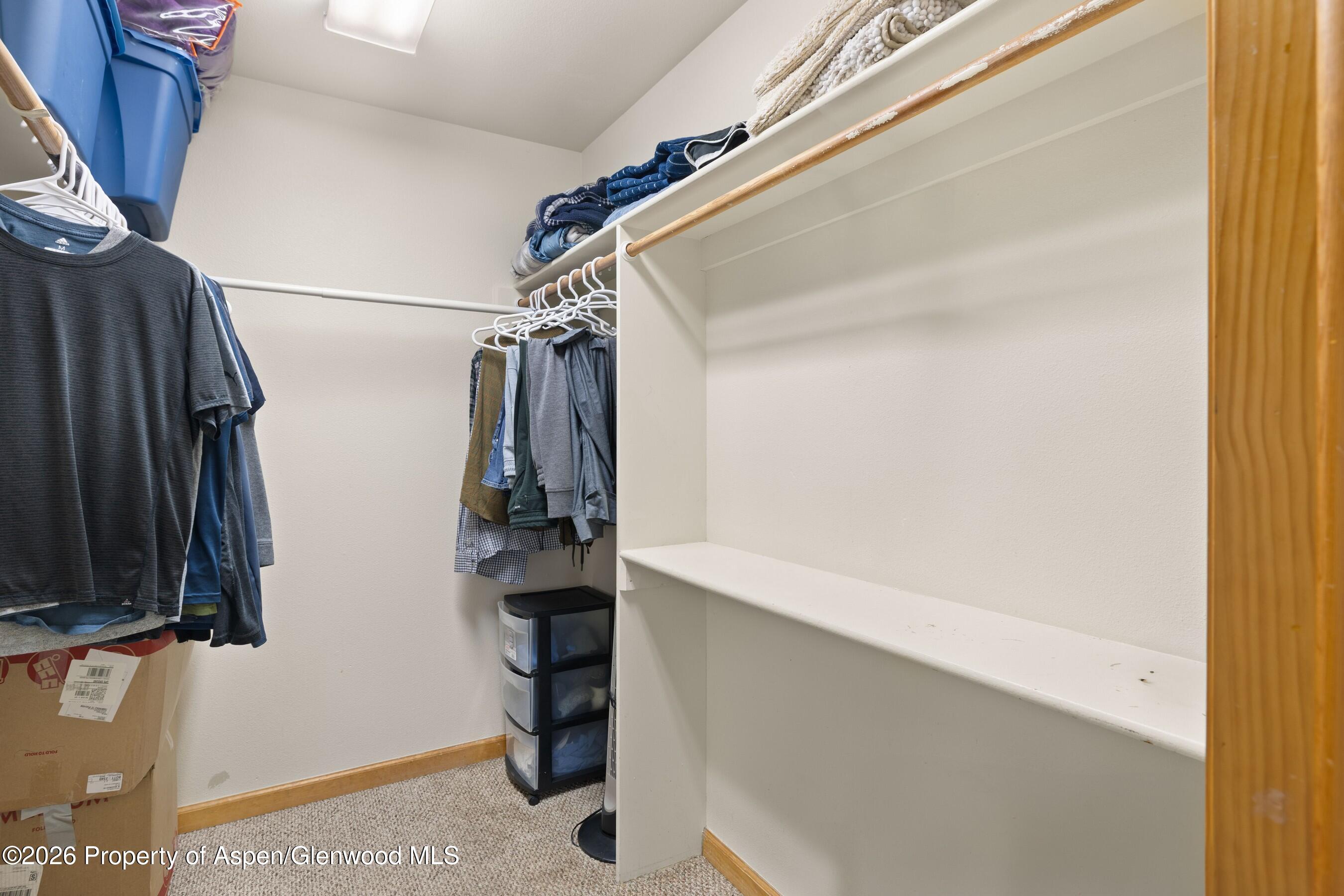 85 Meadow Wood Drive Carbondale CO 81623
