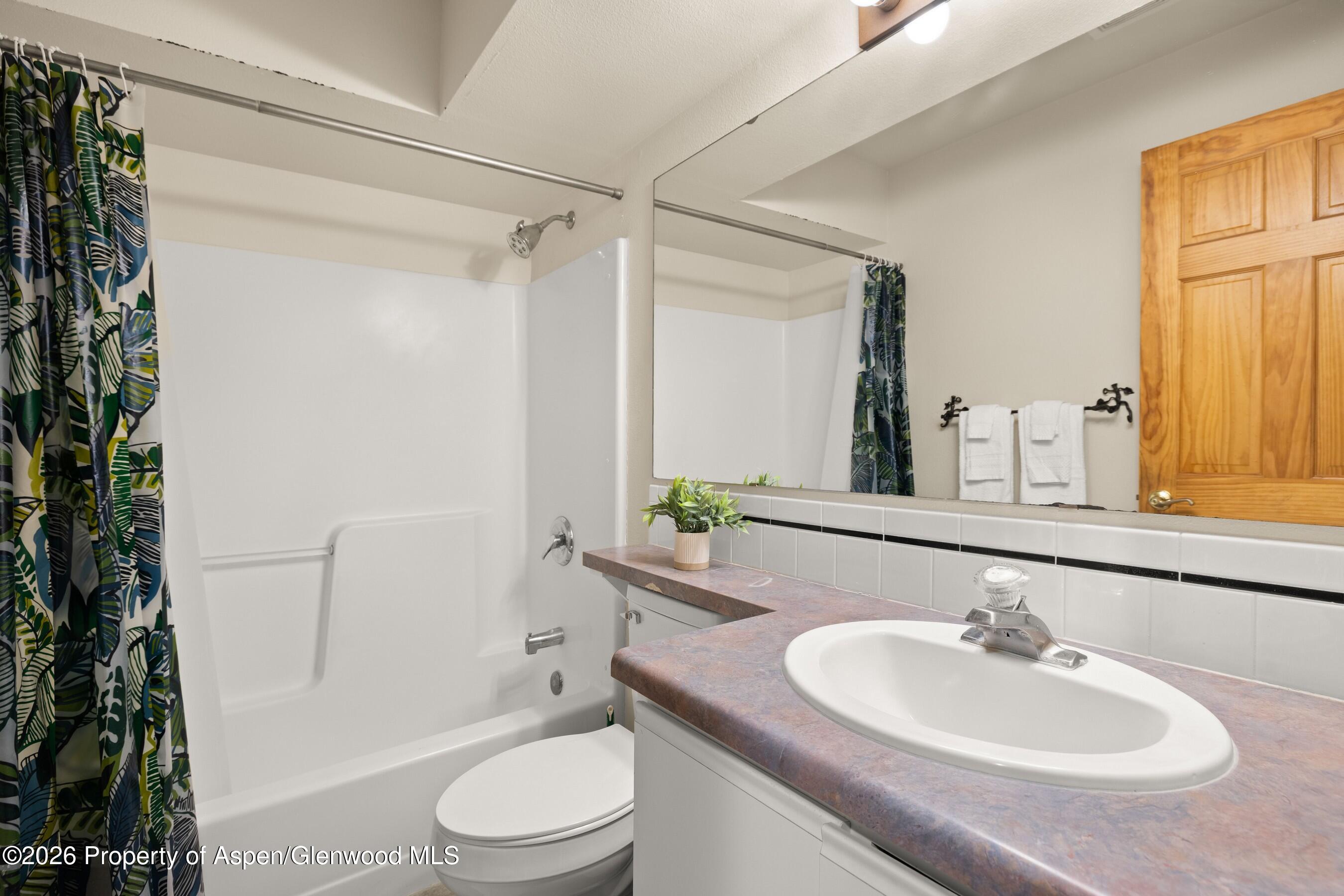 85 Meadow Wood Drive Carbondale CO 81623