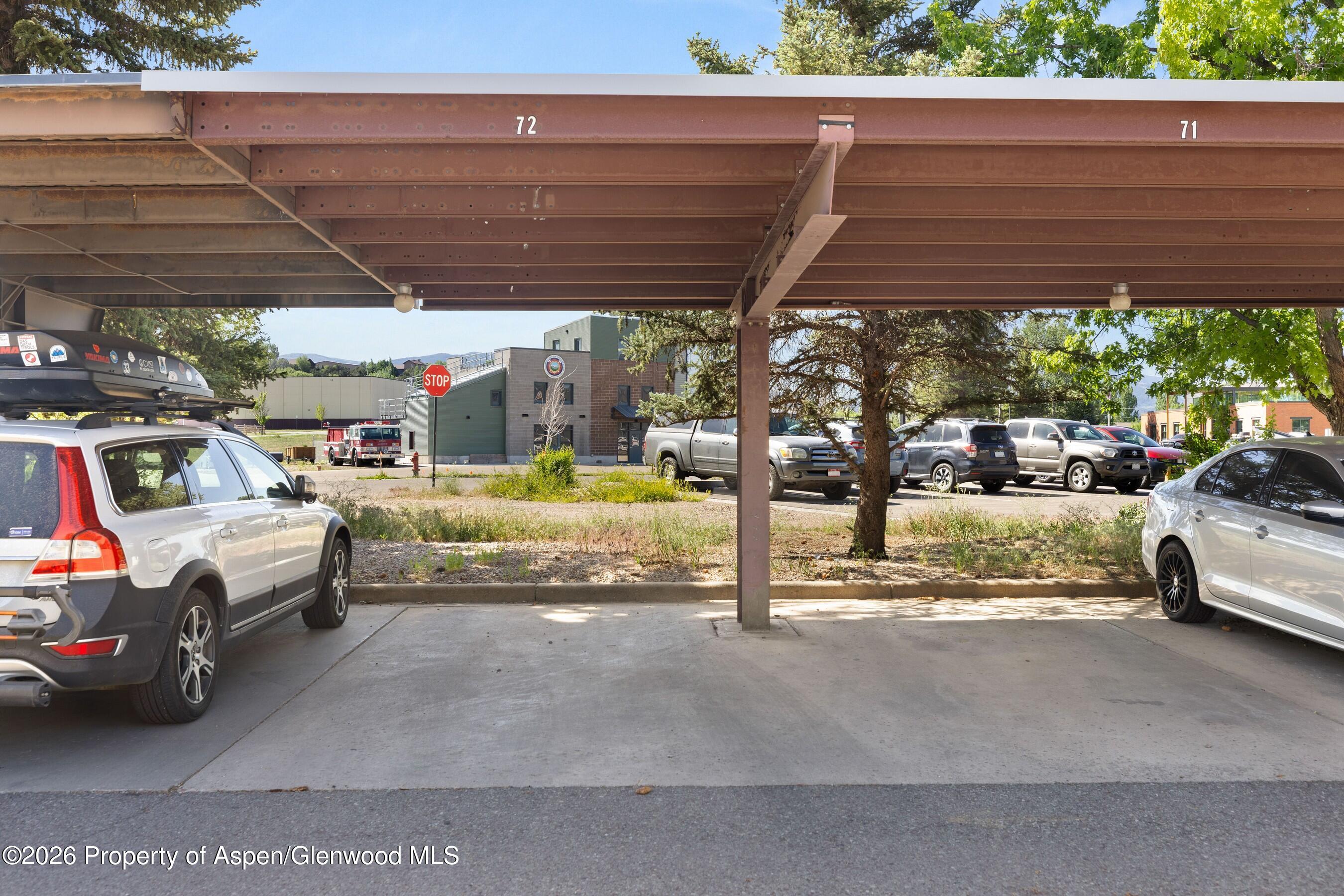 85 Meadow Wood Drive Carbondale CO 81623