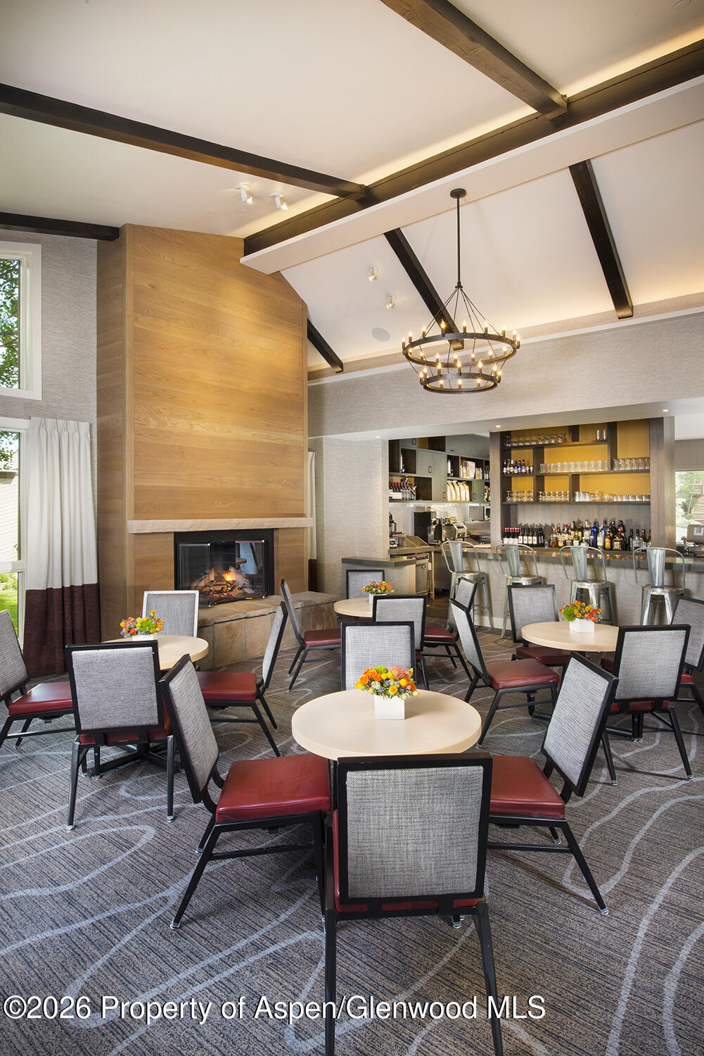 610 S West End Street Aspen CO 81611