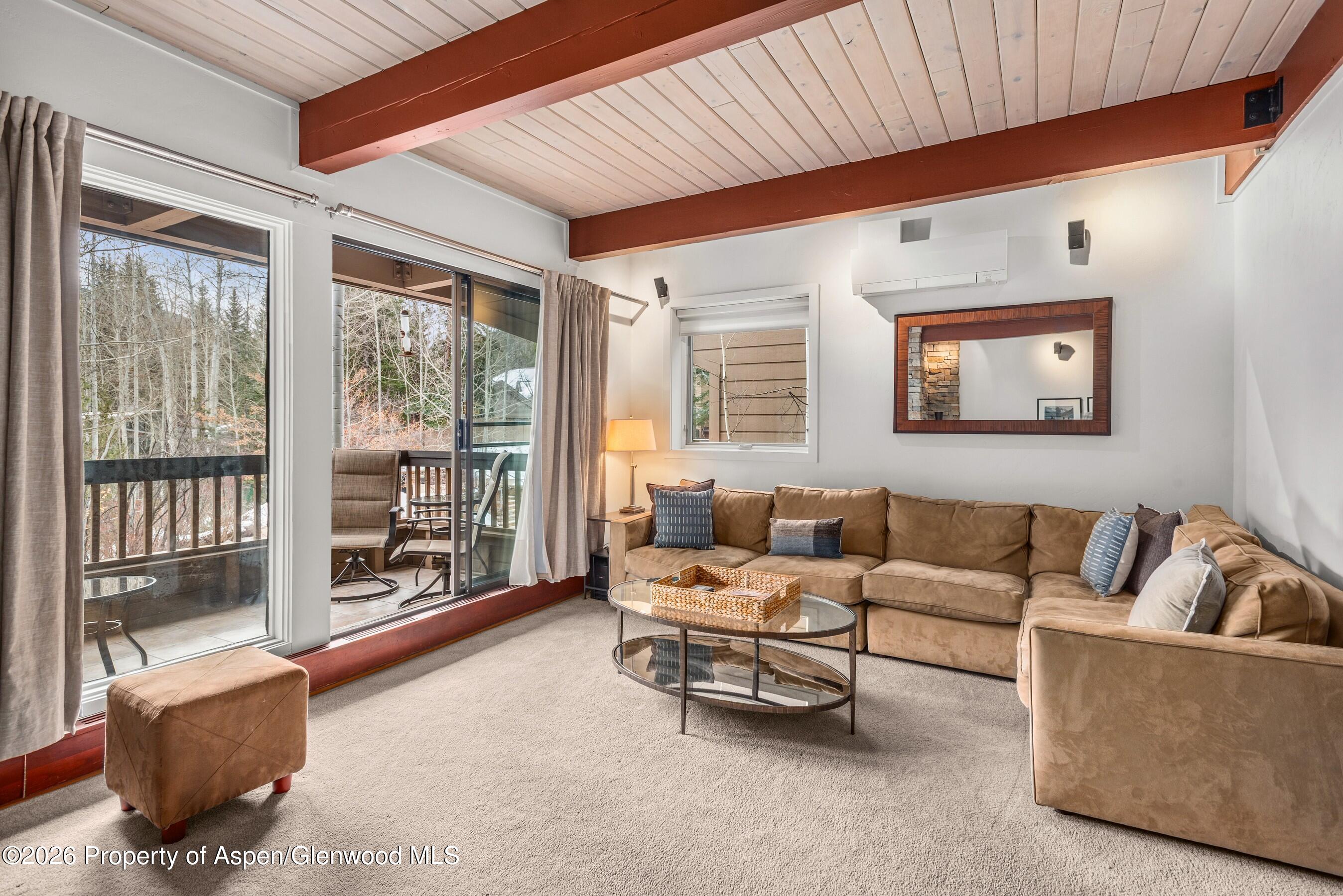 610 S West End Street Aspen CO 81611