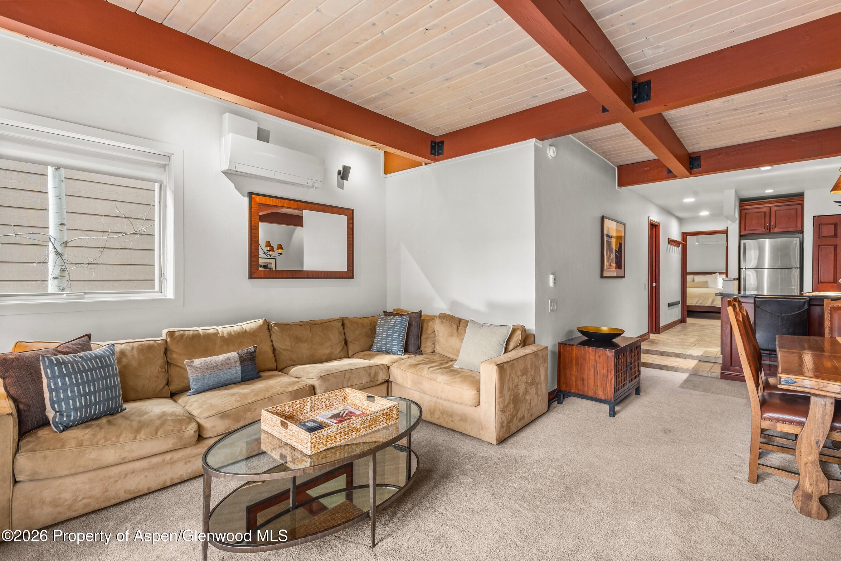 610 S West End Street Aspen CO 81611