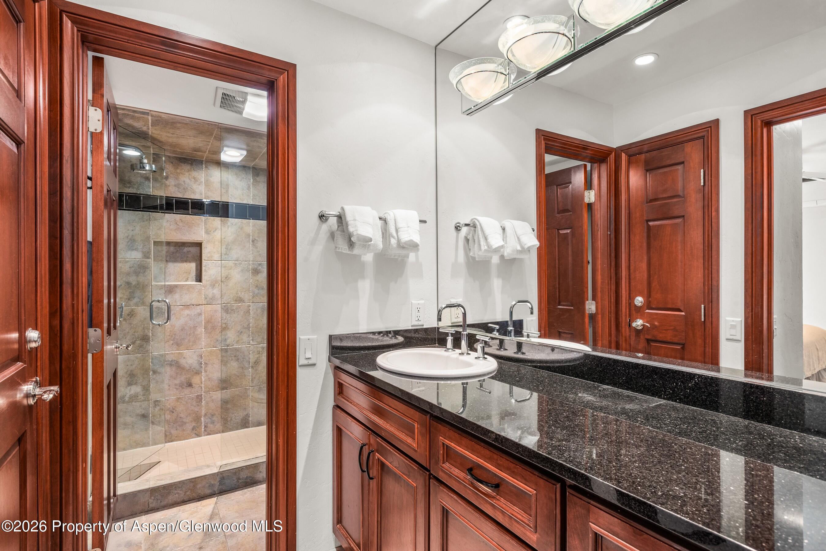 610 S West End Street Aspen CO 81611