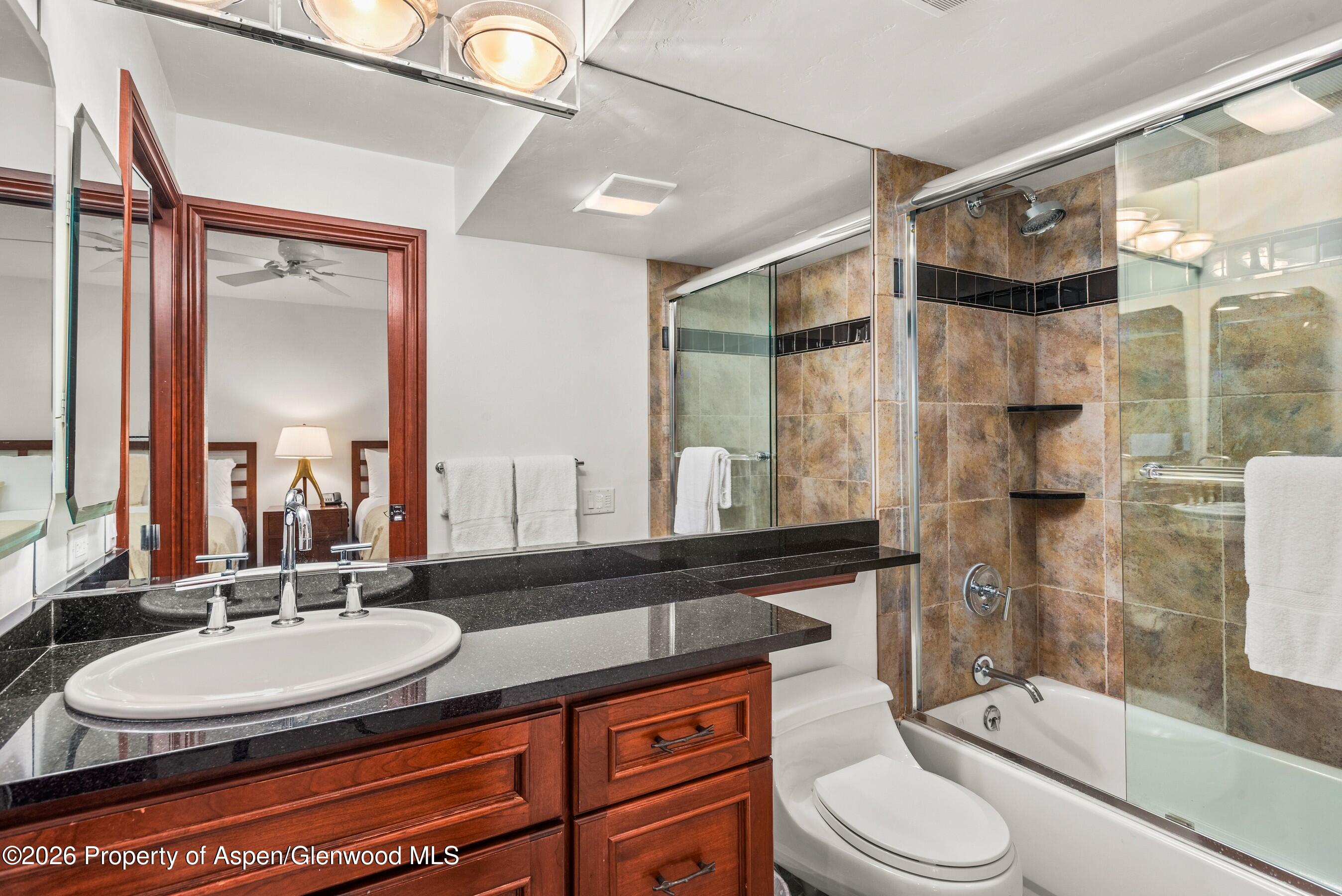 610 S West End Street Aspen CO 81611