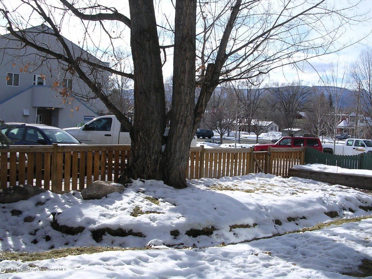 621 Colorado Avenue Carbondale CO 81623