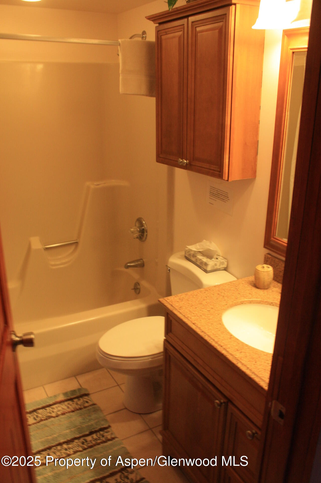 232 W Hyman Avenue Aspen CO 81611