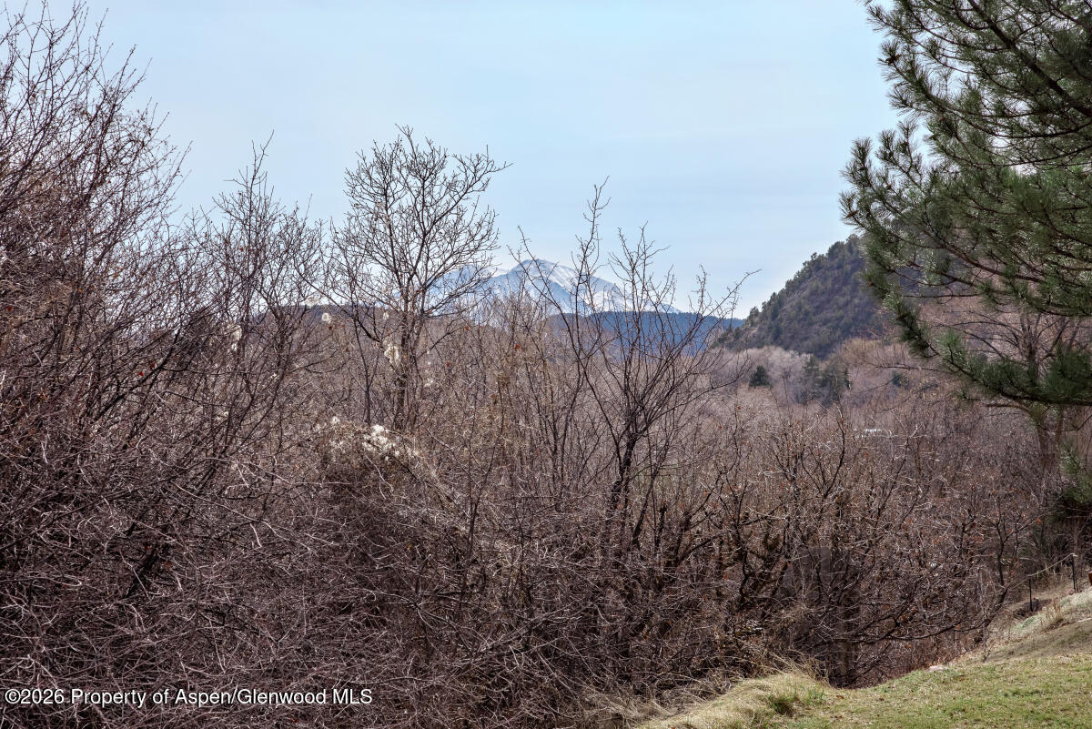 2822 Hager Lane Glenwood Springs CO 81601