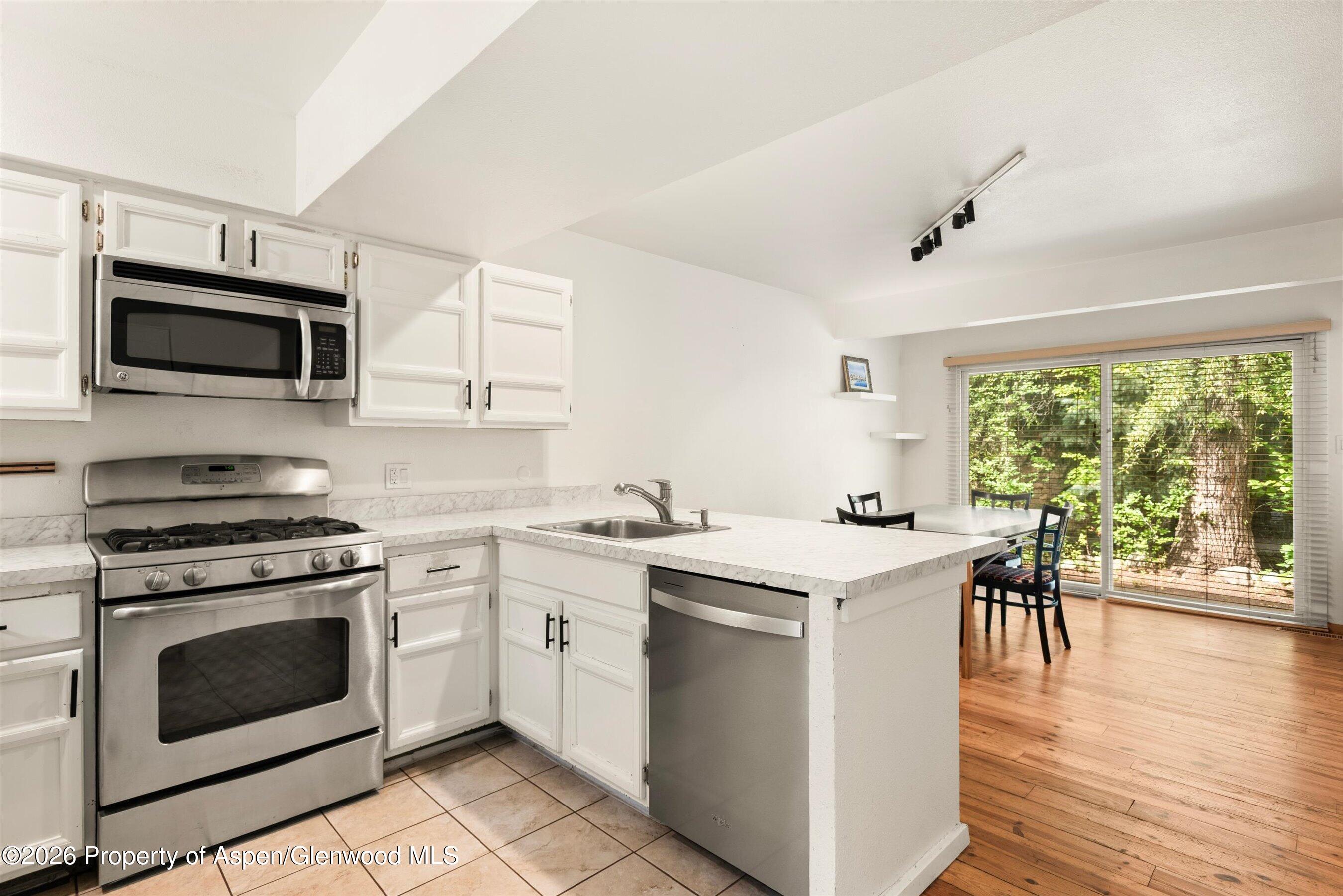 814 W Bleeker Street Aspen CO 81611