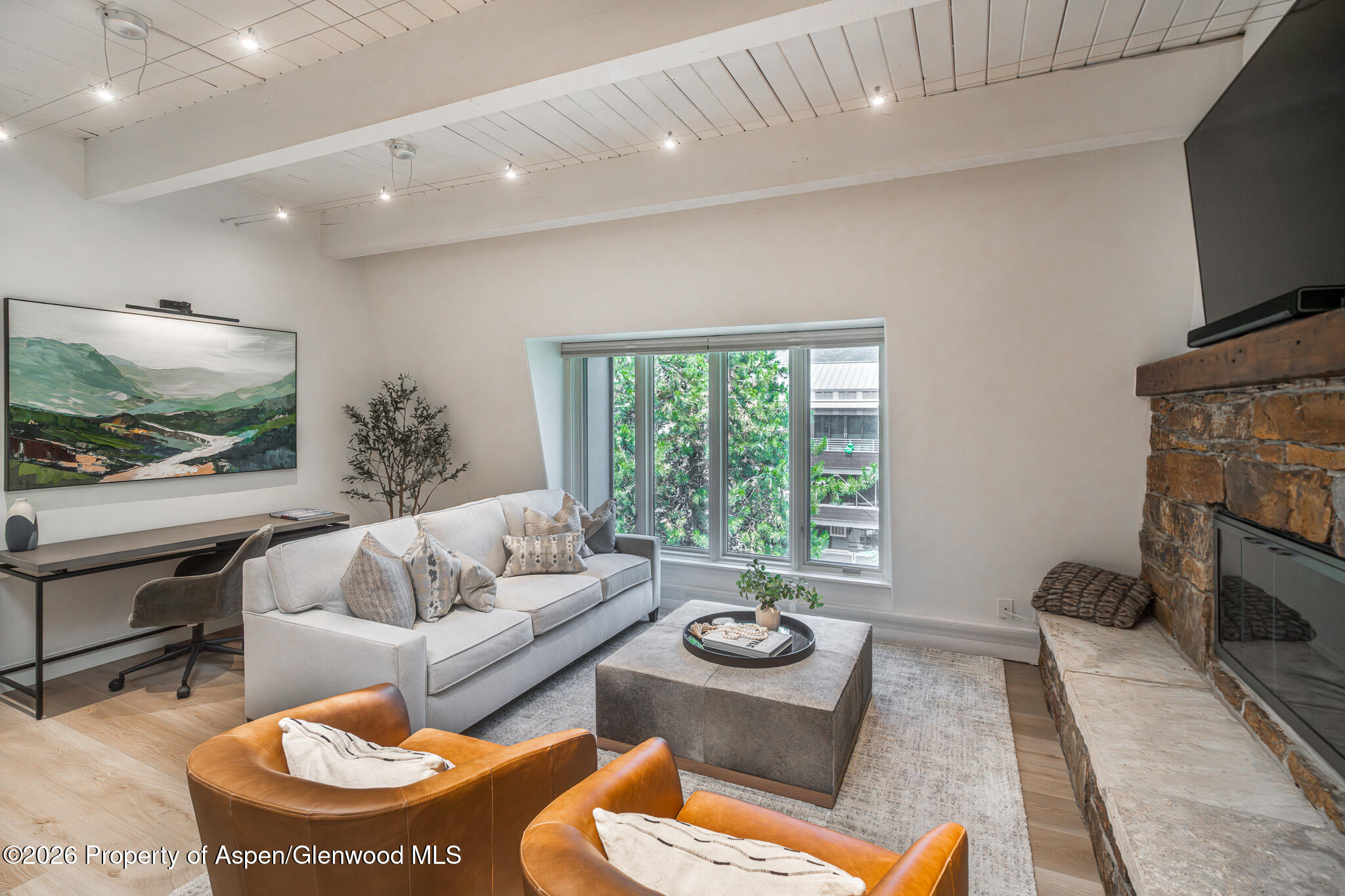 725 E Durant Avenue Aspen CO 81611