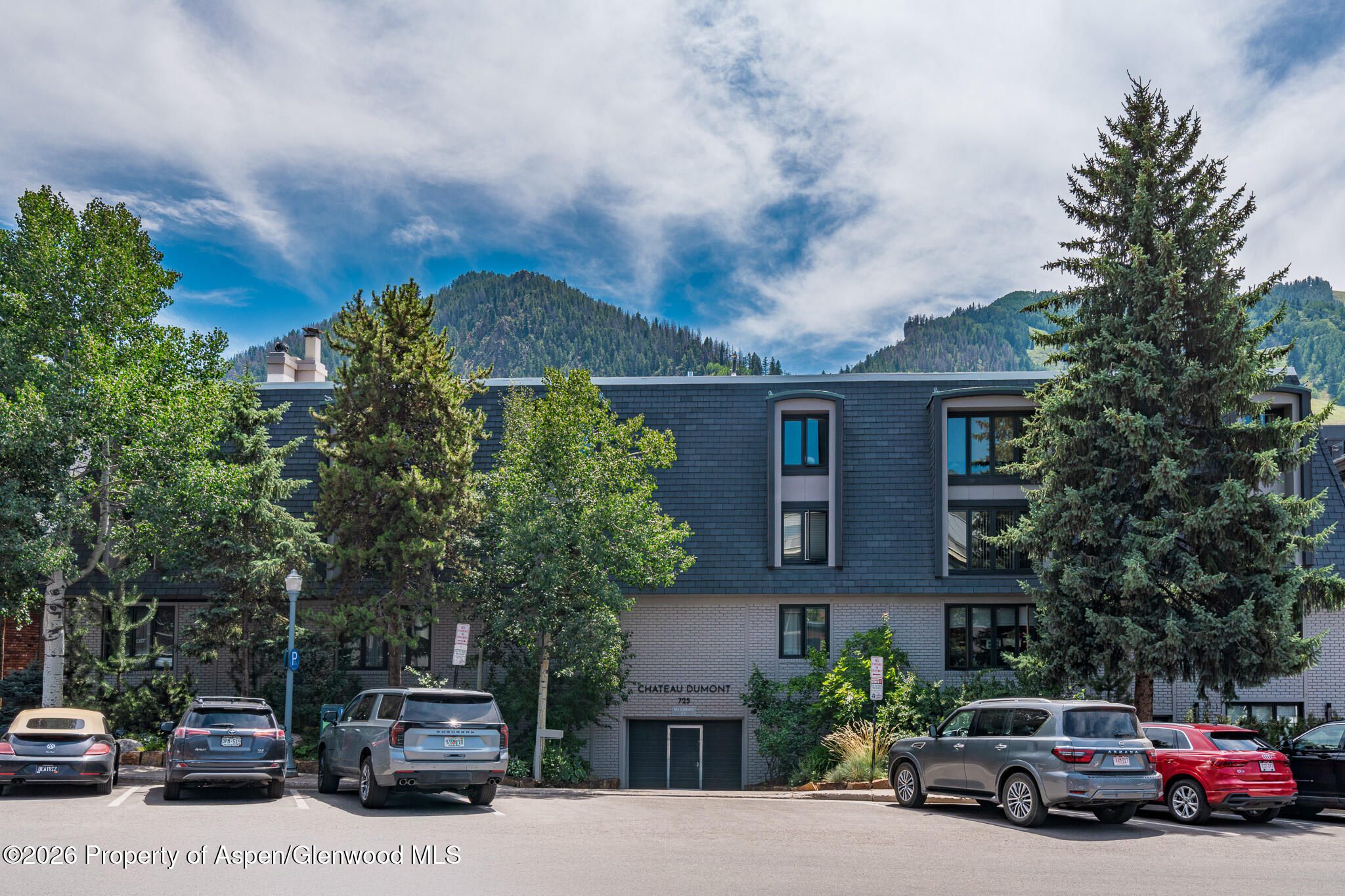 725 E Durant Avenue Aspen CO 81611