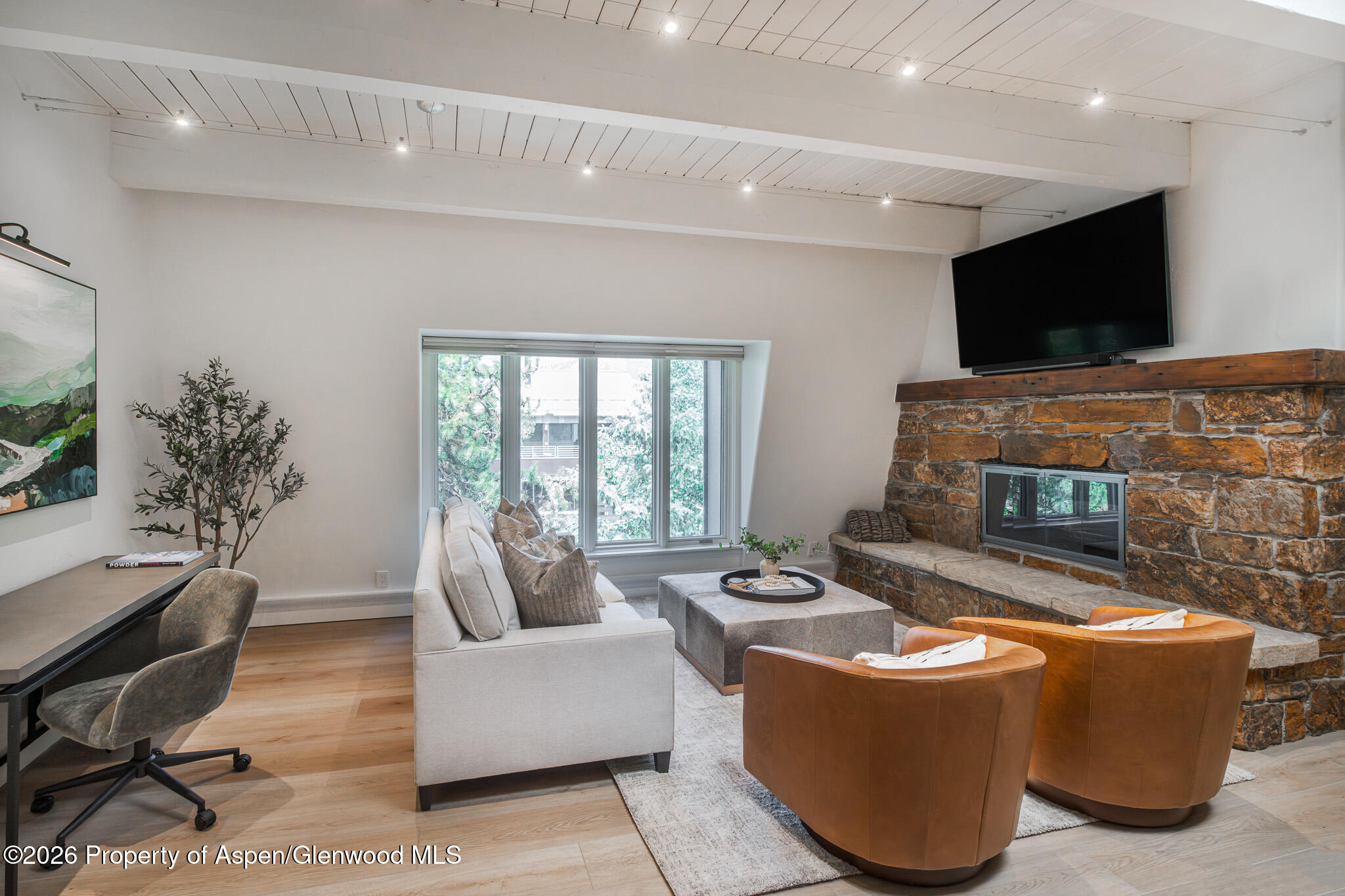 725 E Durant Avenue Aspen CO 81611