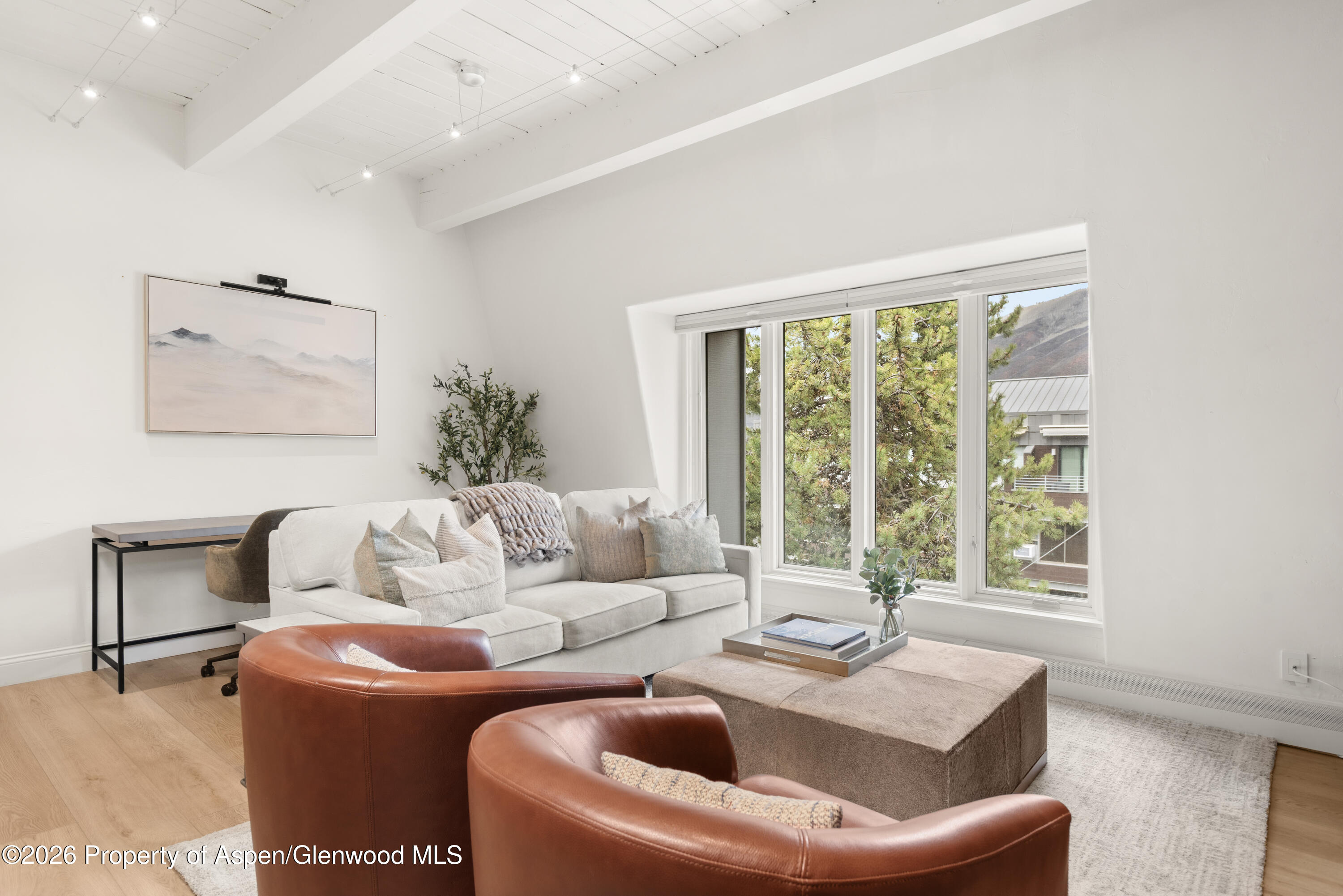 725 E Durant Avenue Aspen CO 81611