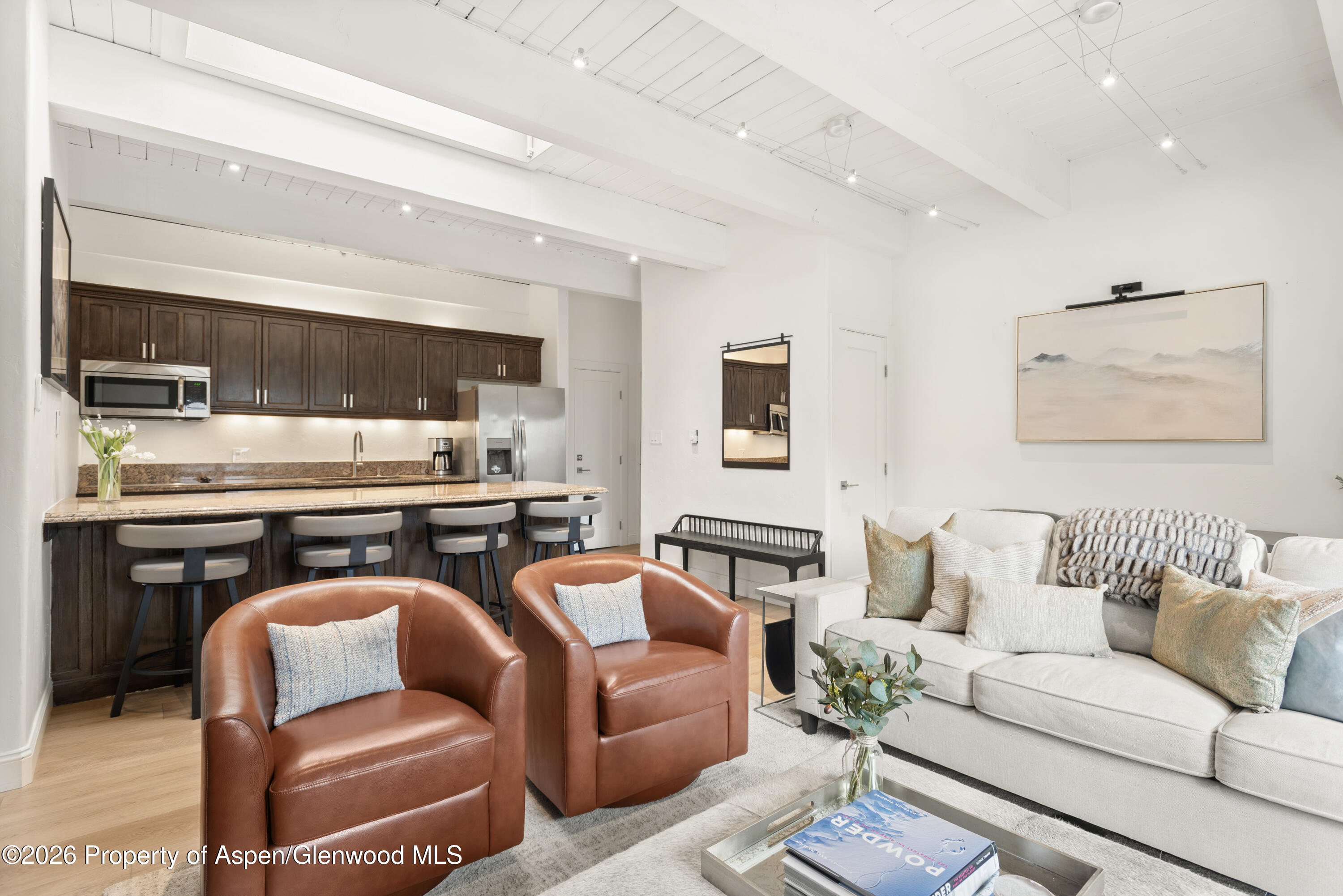 725 E Durant Avenue Aspen CO 81611