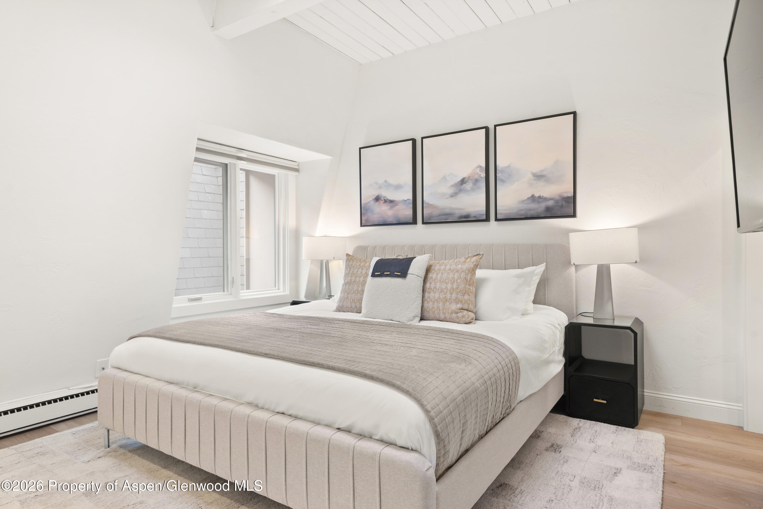 725 E Durant Avenue Aspen CO 81611