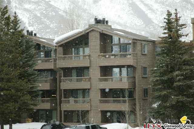 610 S West End Street Aspen CO 81611