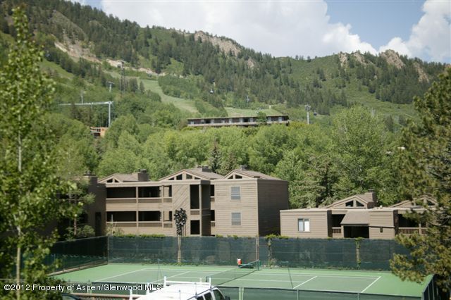 610 S West End Street Aspen CO 81611