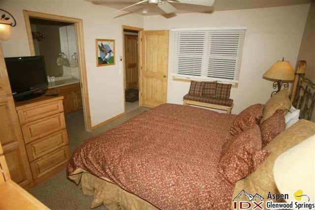 610 S West End Street Aspen CO 81611