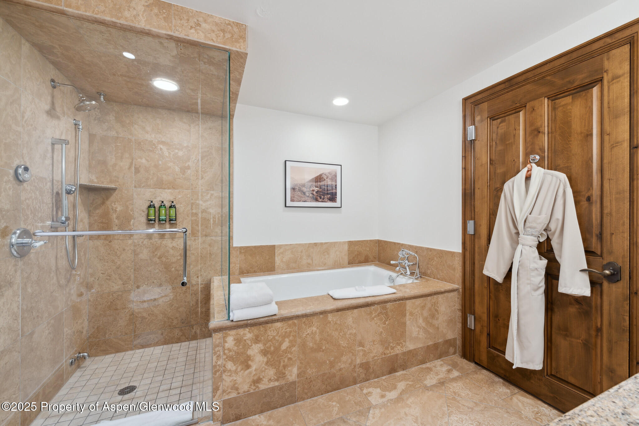 415 E Dean St, #35, Week 35 Aspen CO 81611