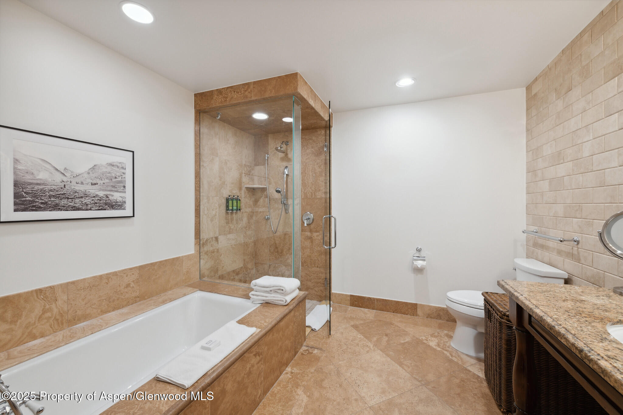 415 E Dean St, #35, Week 35 Aspen CO 81611