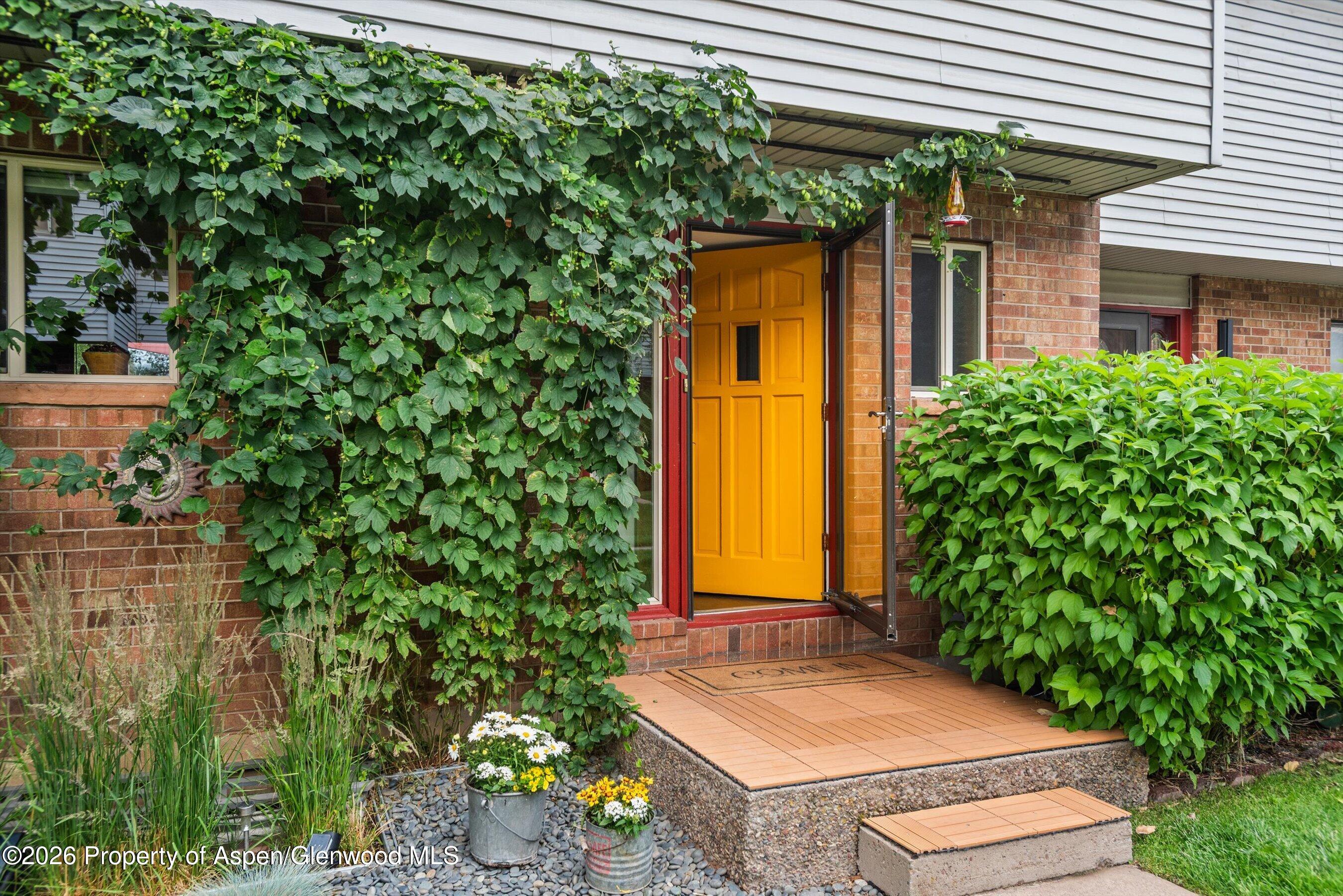 681 S 2nd Street Carbondale CO 81623