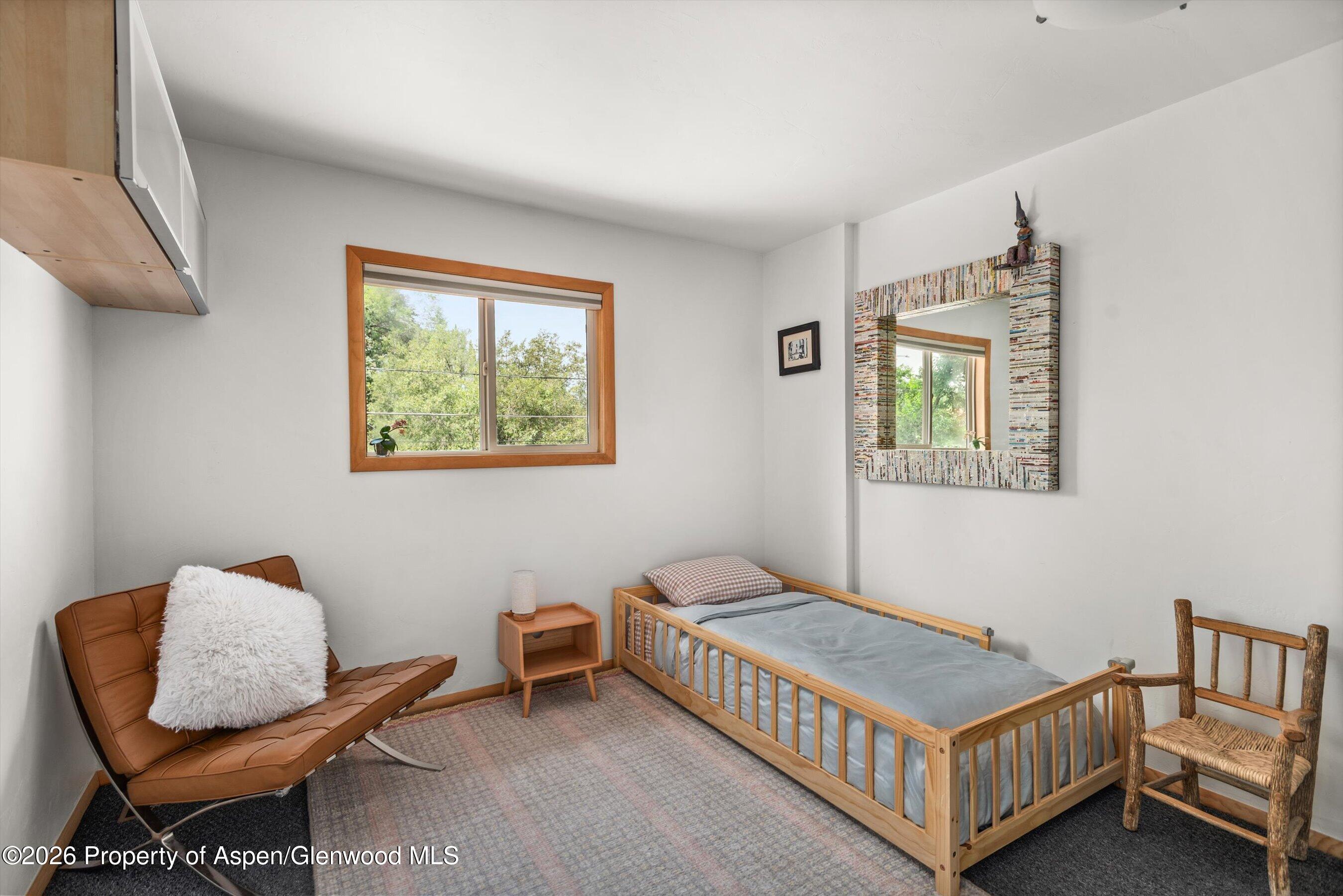 681 S 2nd Street Carbondale CO 81623