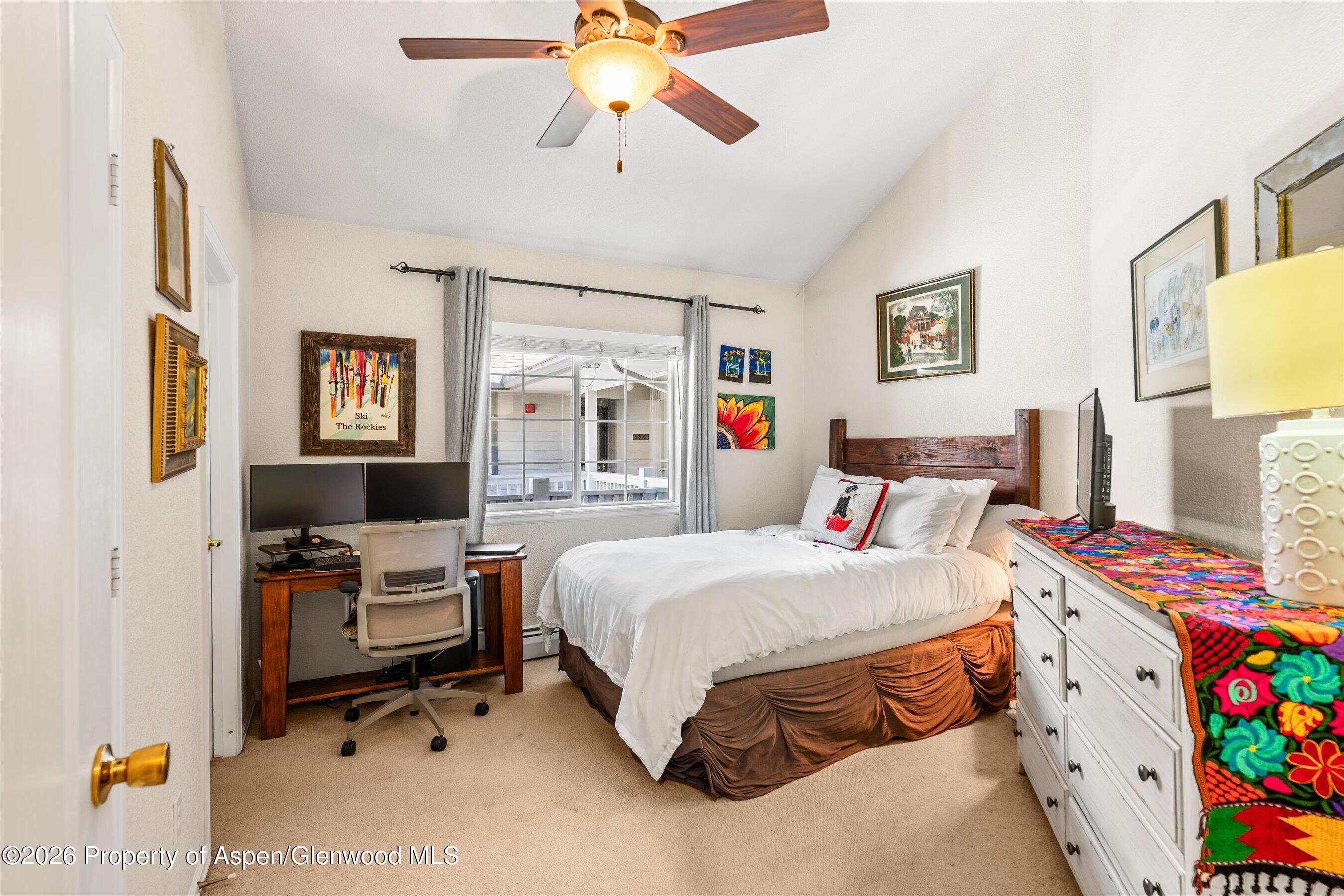 5203 Elk Lane Basalt CO 81621