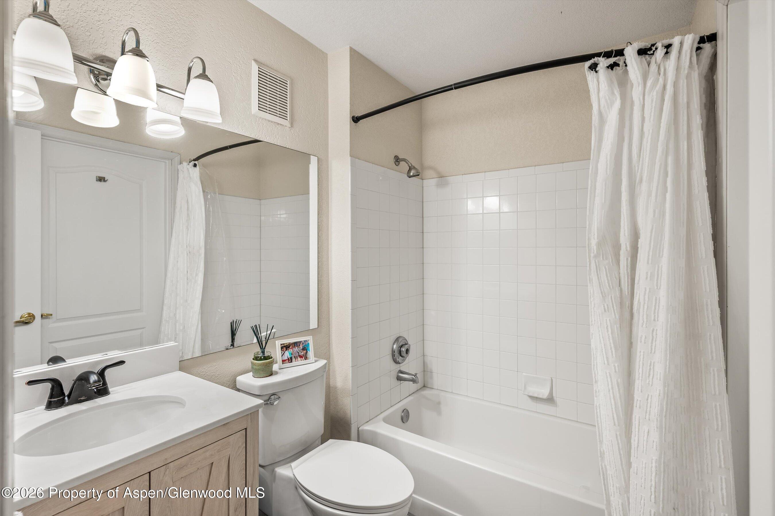 5203 Elk Lane Basalt CO 81621