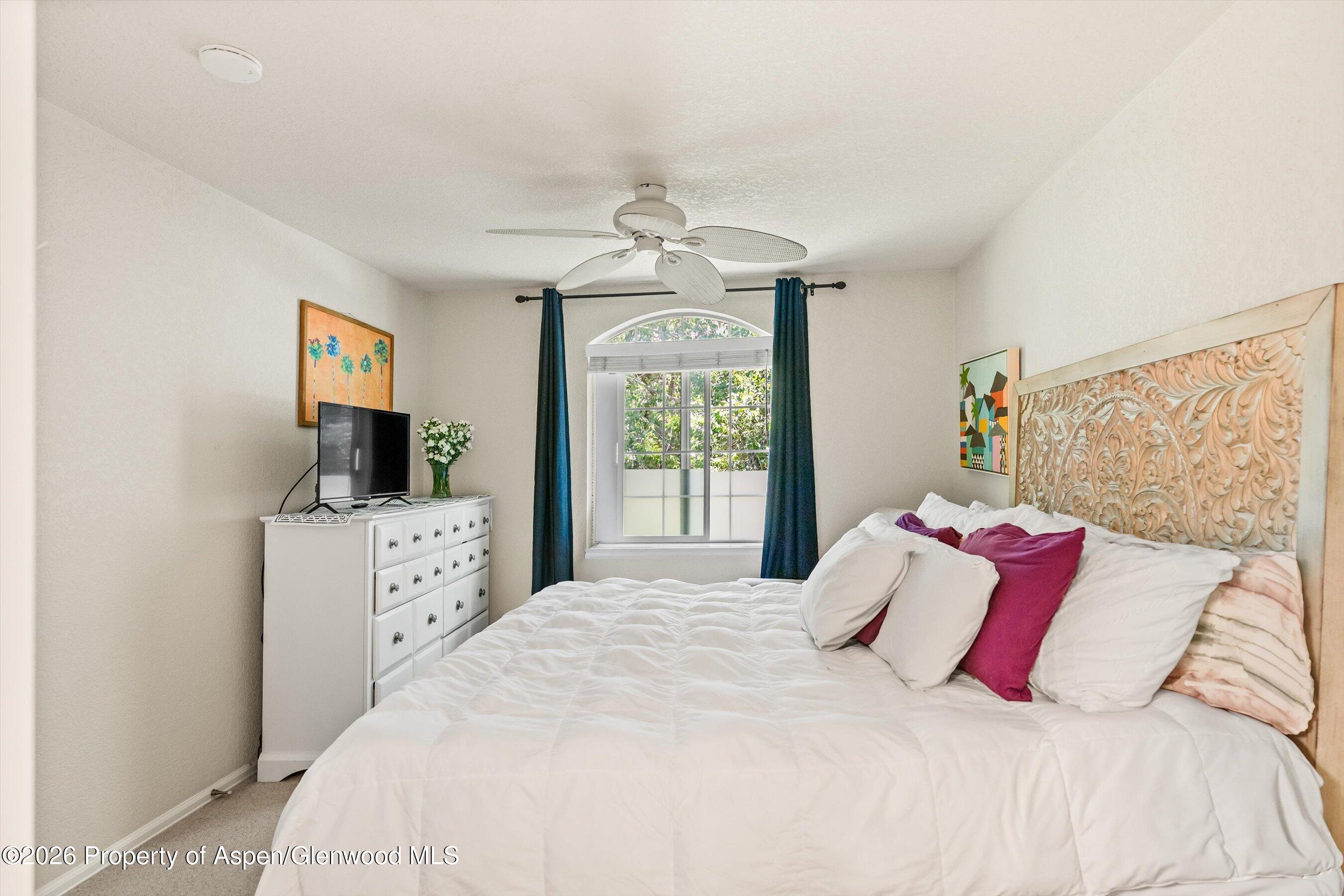 5203 Elk Lane Basalt CO 81621