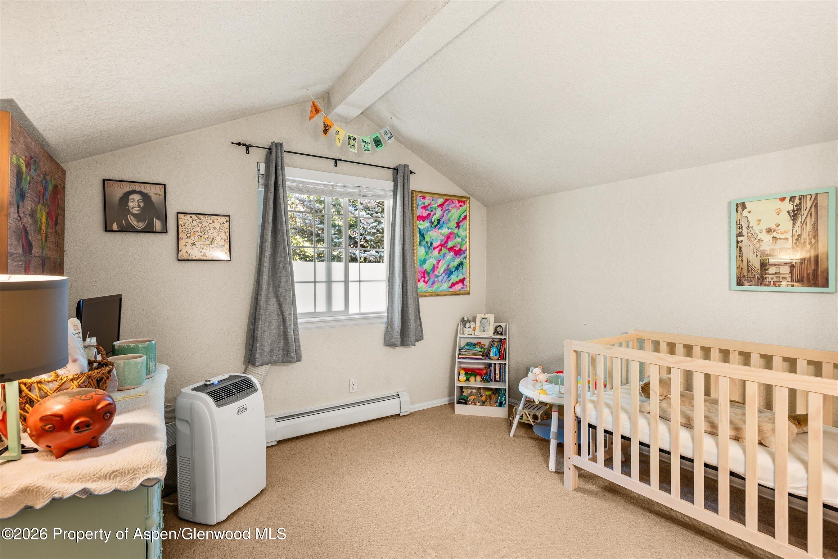 5203 Elk Lane Basalt CO 81621