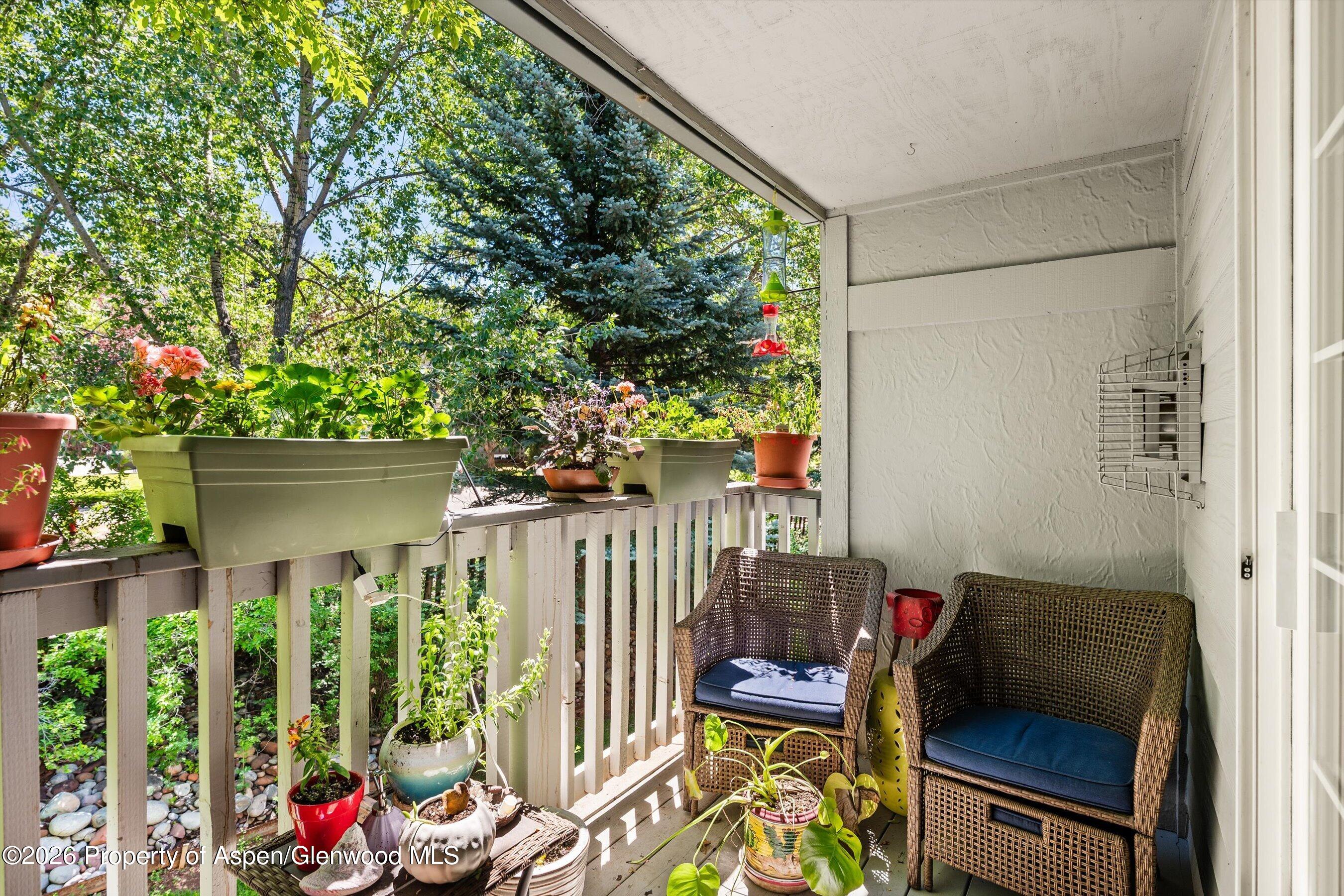 5203 Elk Lane Basalt CO 81621